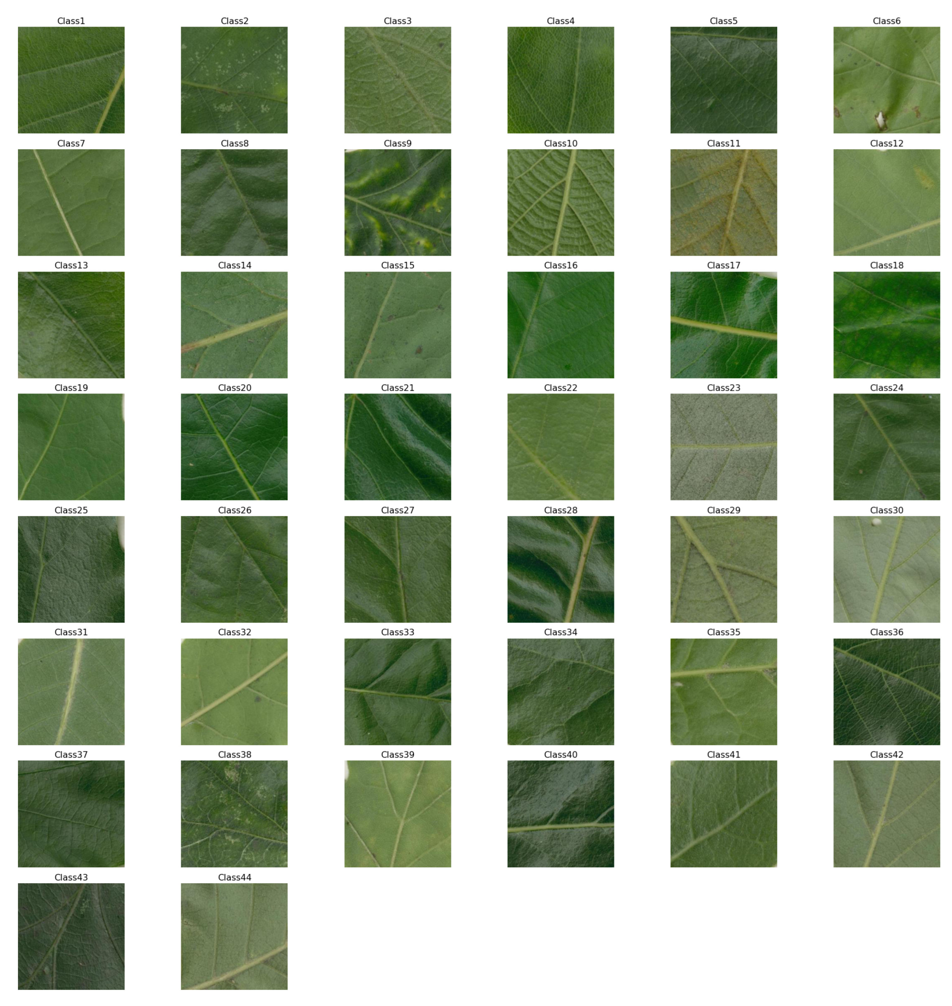 Plants 12 02642 g005