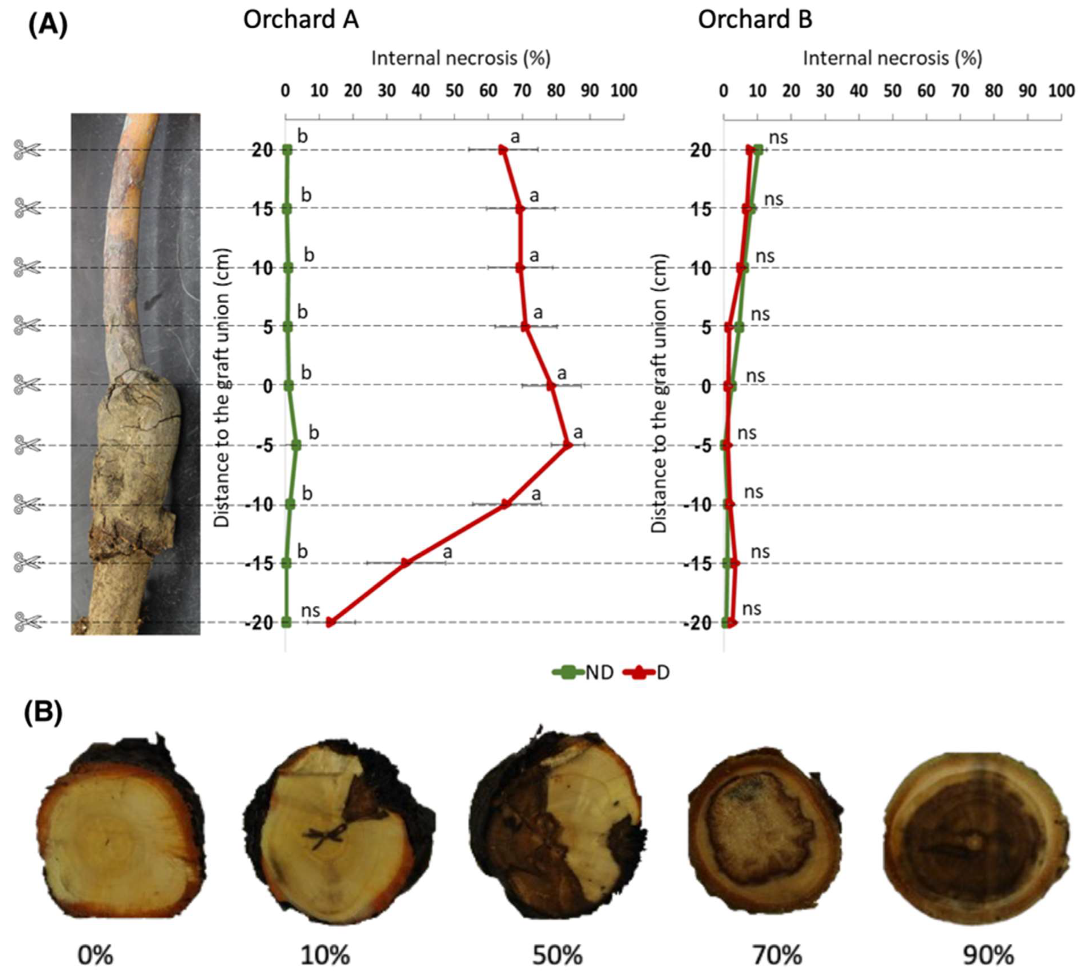 Plants 12 02644 g004 Plants 12 02644 g004