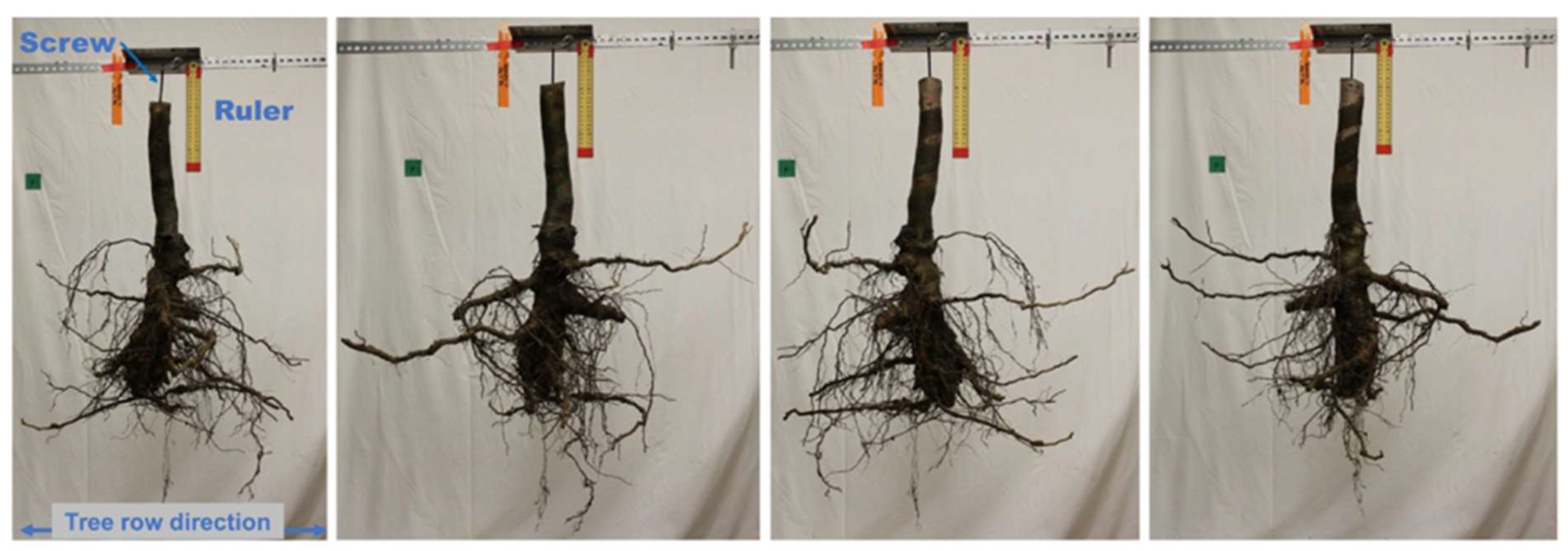 Plants 12 02644 g006 Plants 12 02644 g006