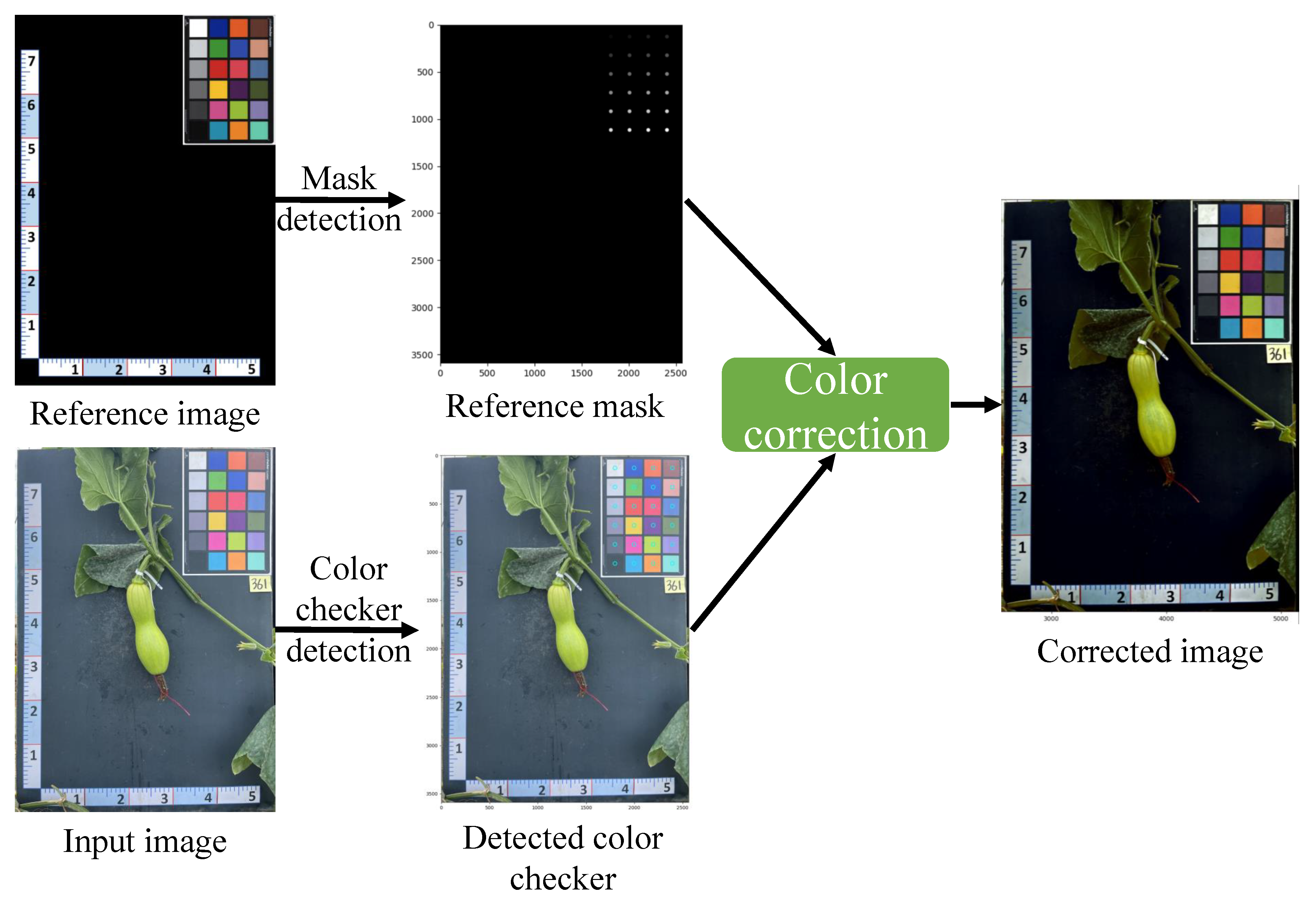 Plants 12 02647 g002