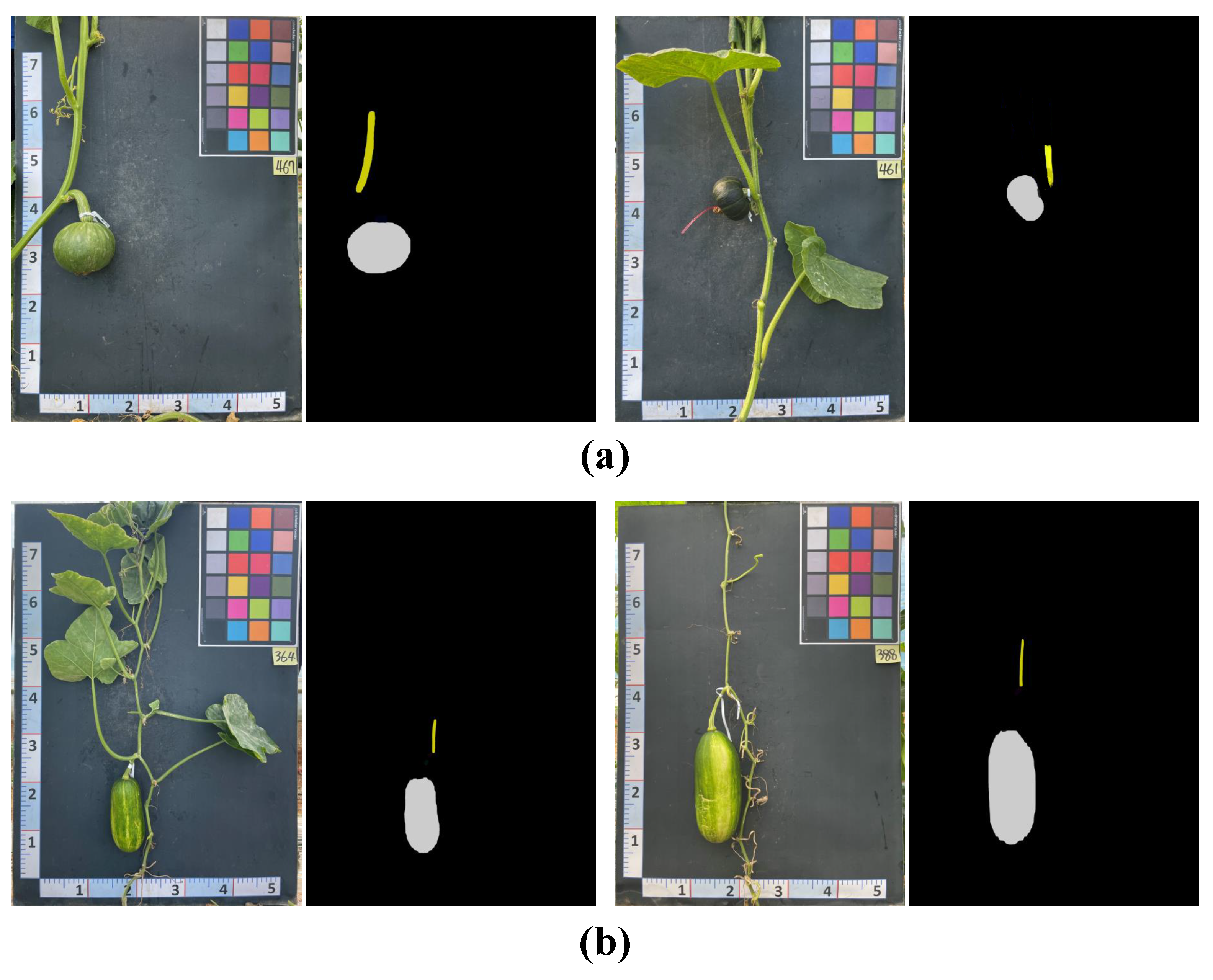 Plants 12 02647 g004