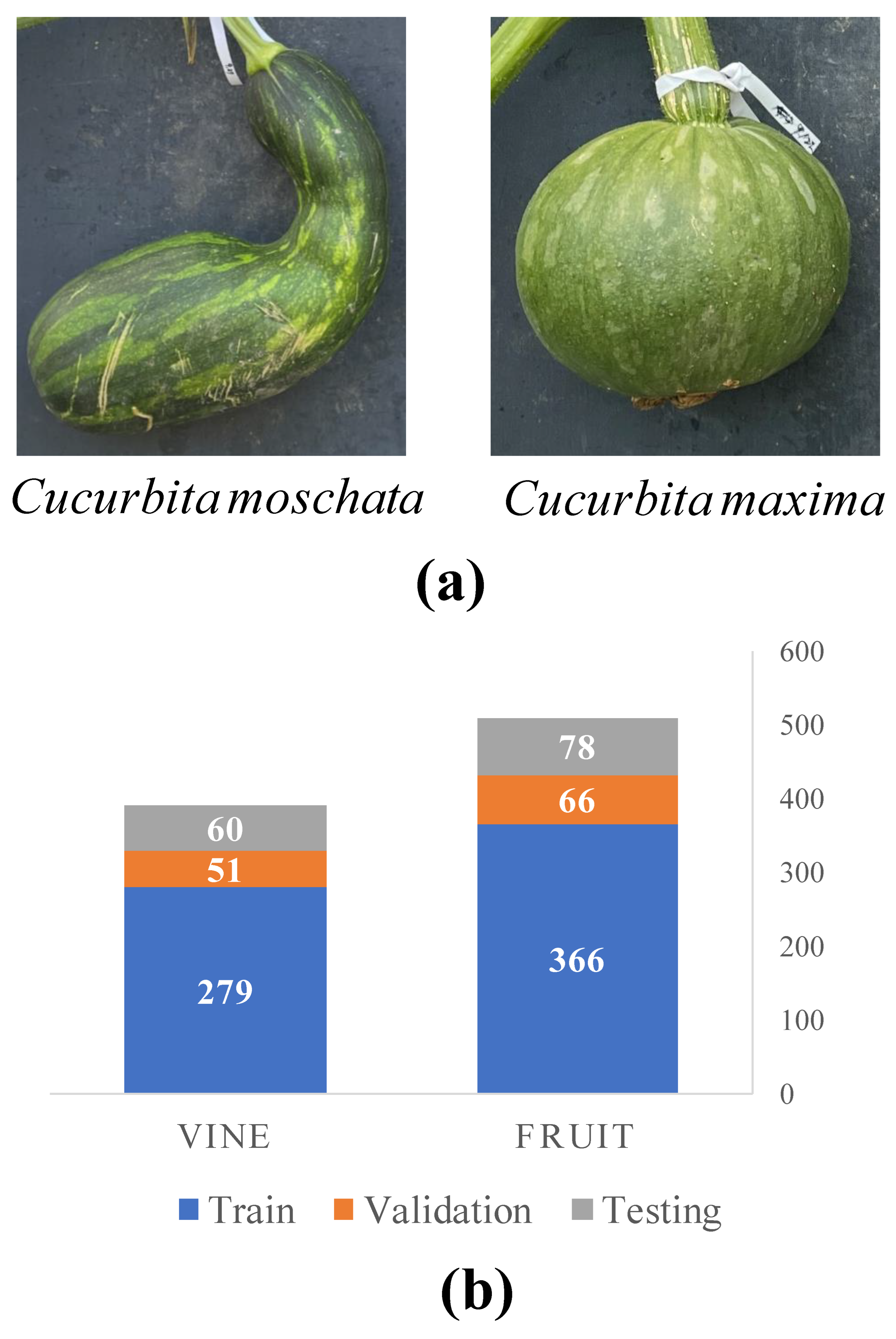 Plants 12 02647 g005