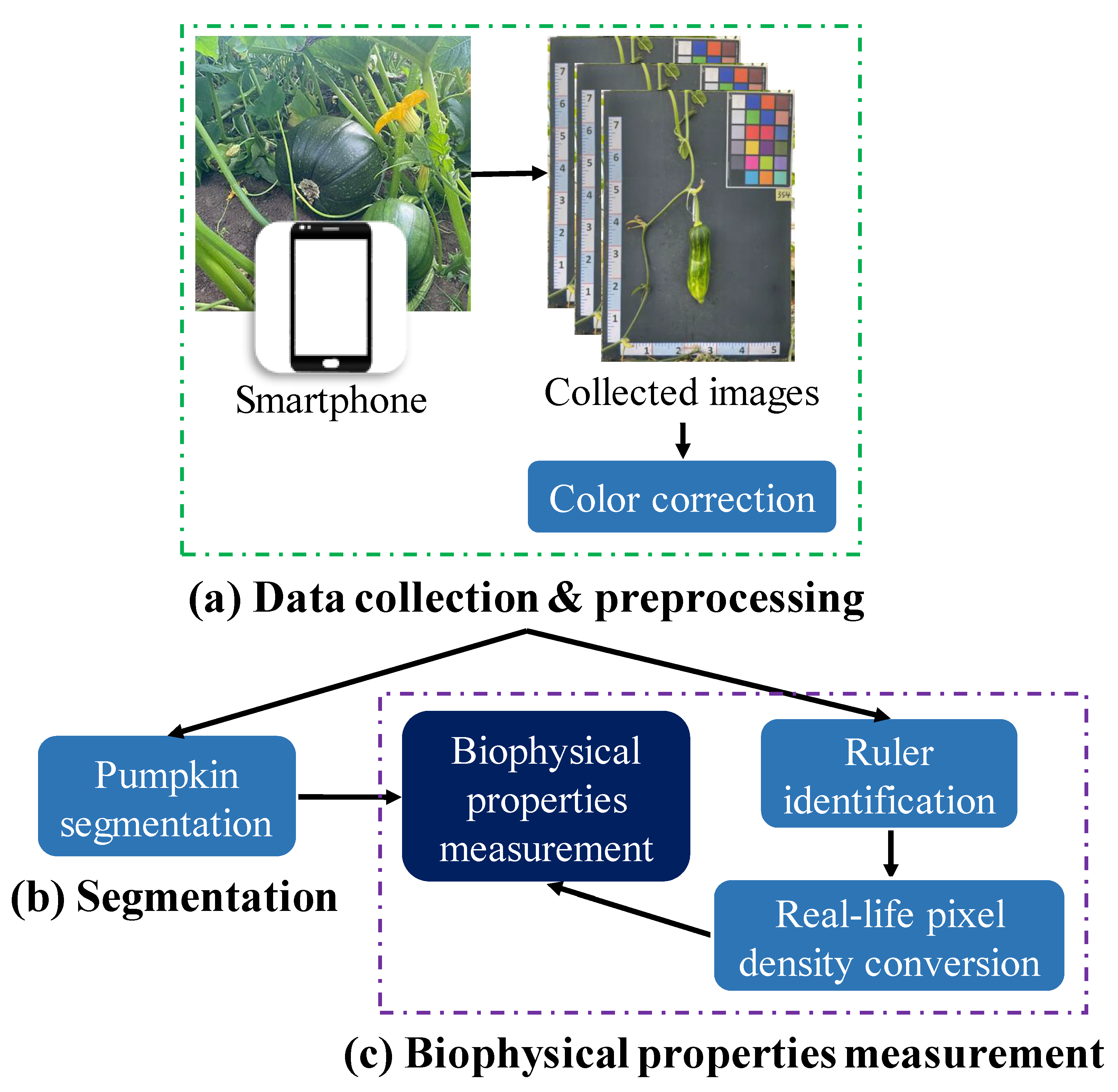Plants 12 02647 g006
