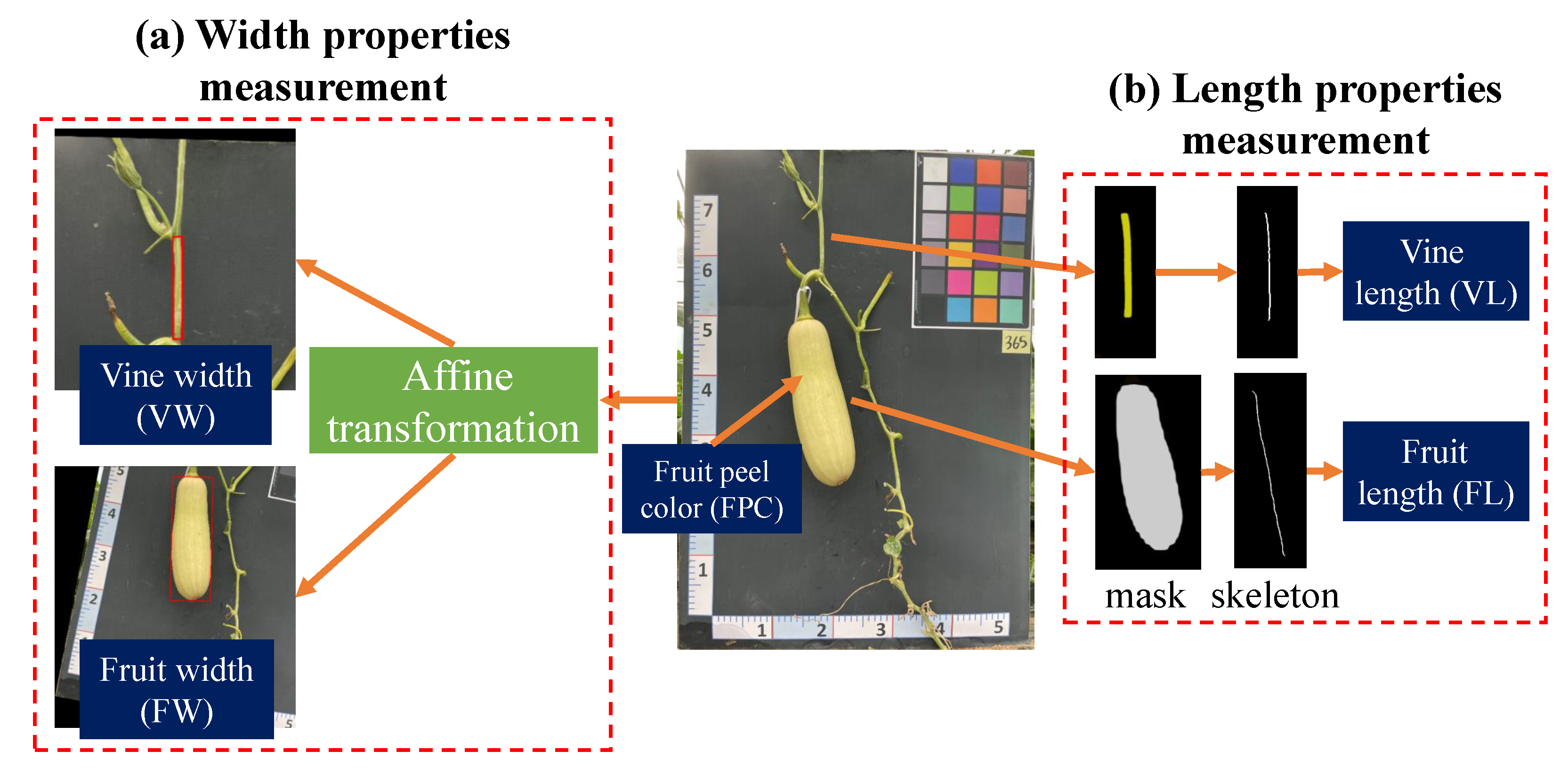 Plants 12 02647 g009