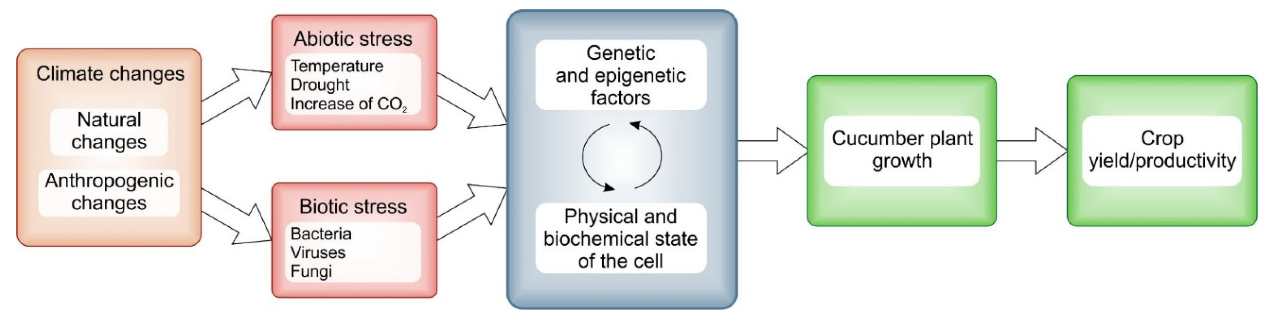 Plants 12 02651 g001