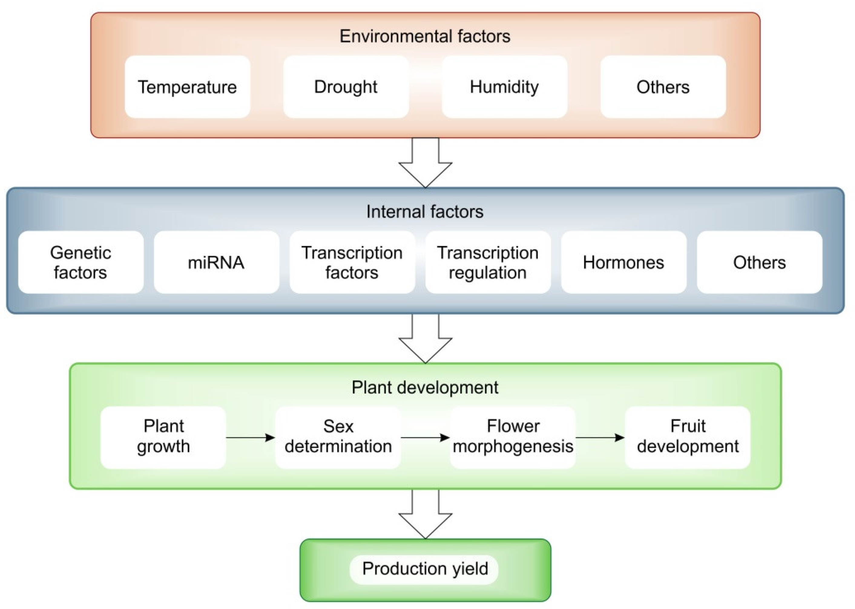 Plants 12 02651 g004