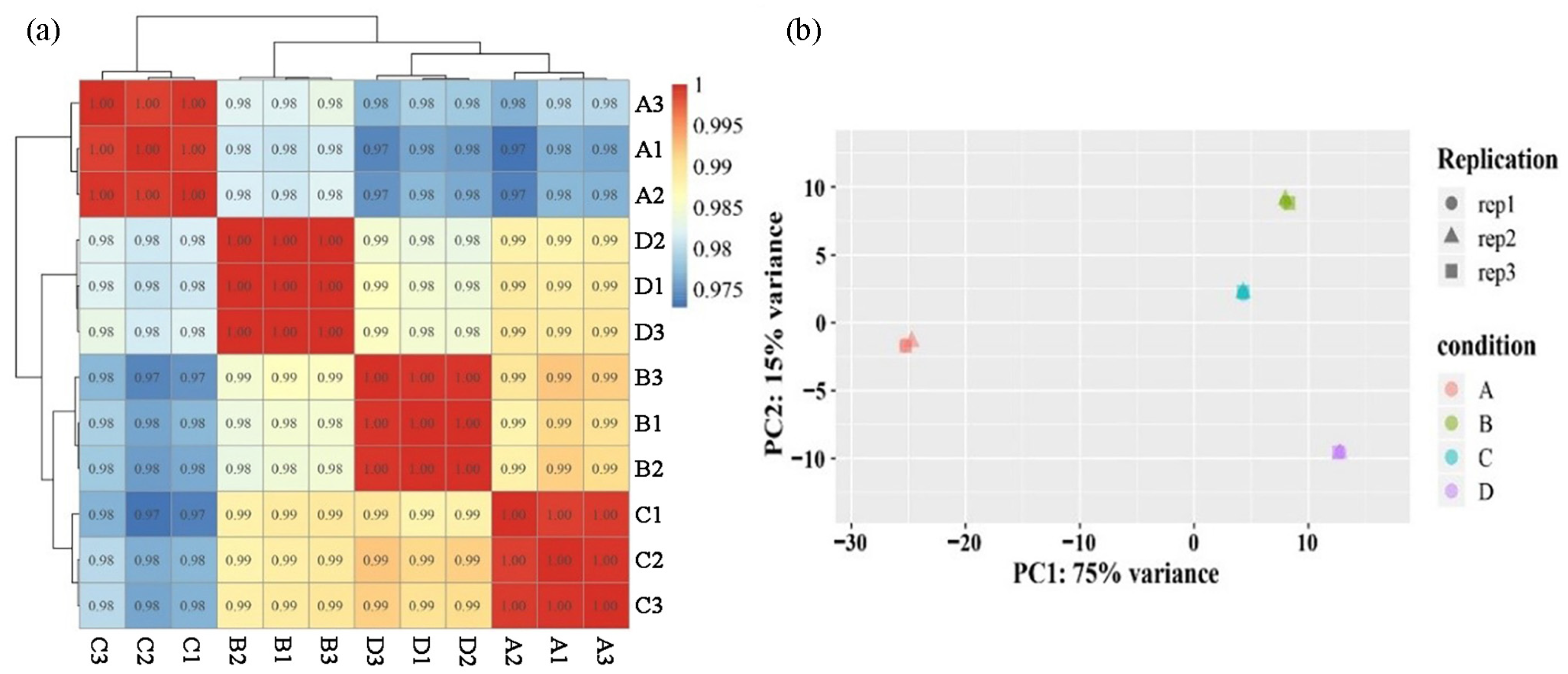 Plants 12 02656 g002