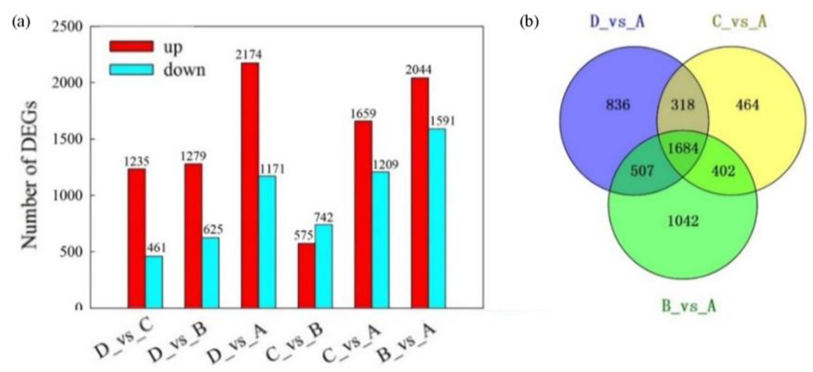Plants 12 02656 g003