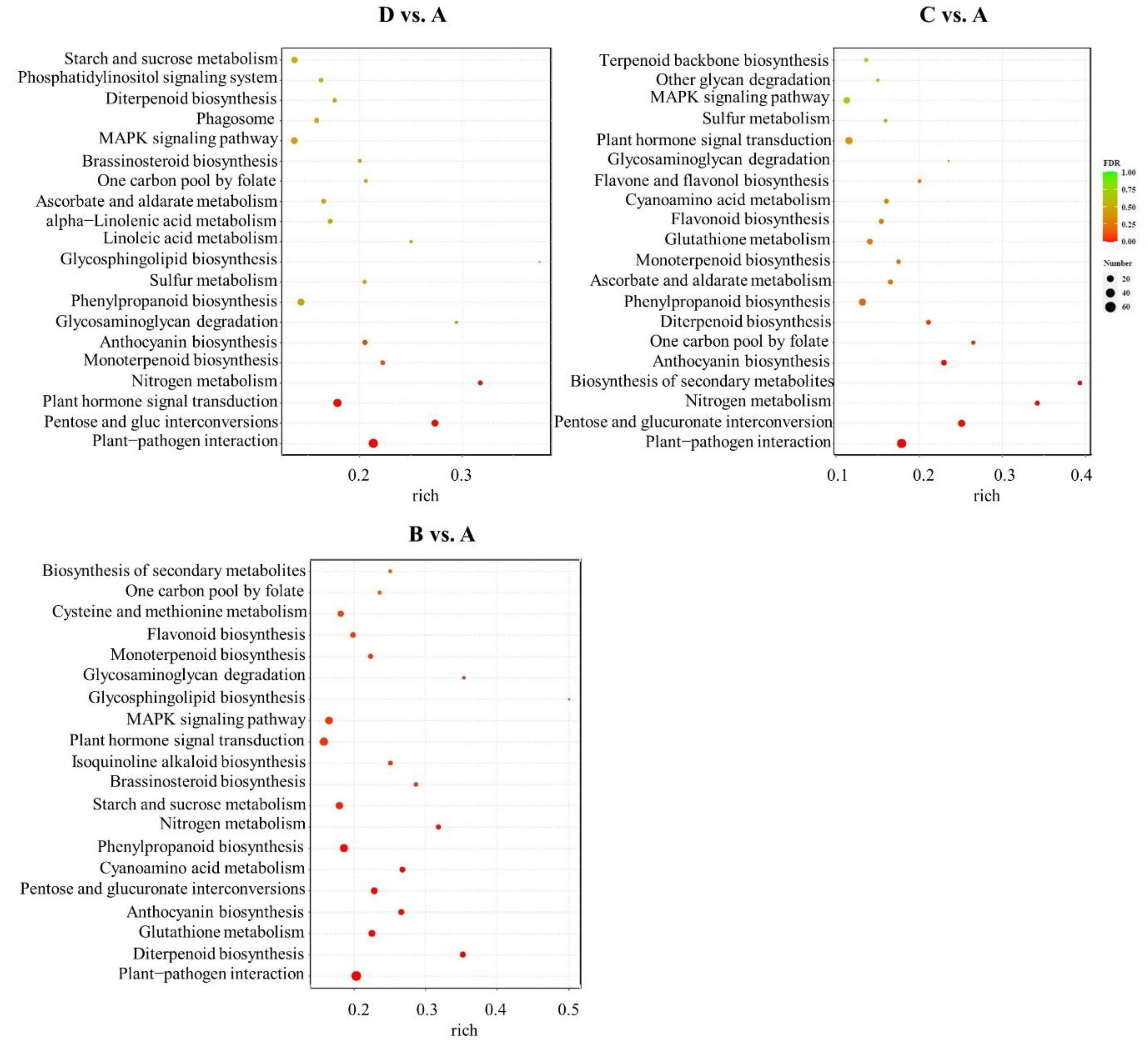 Plants 12 02656 g006