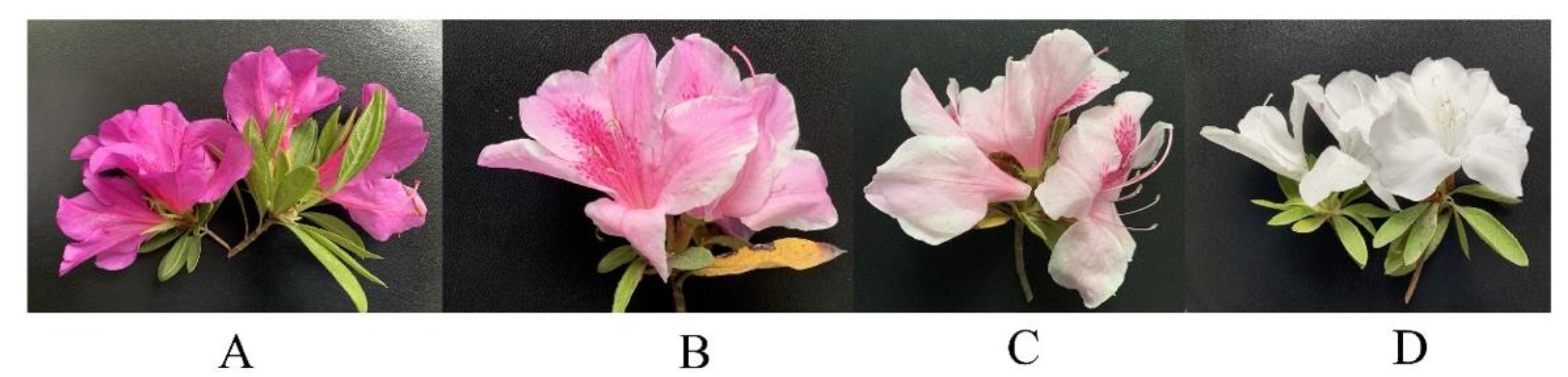 Plants 12 02656 g008