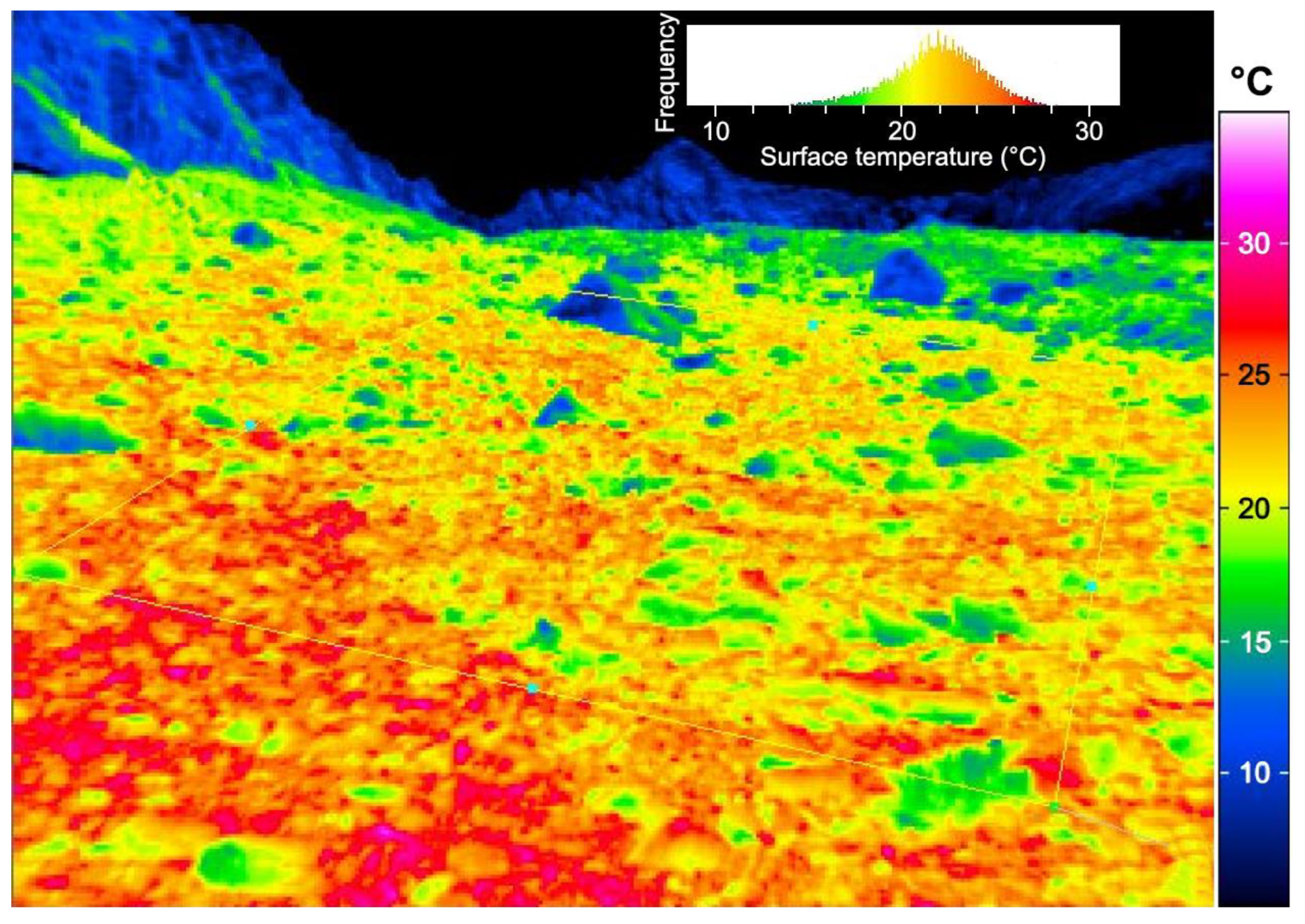 Plants 12 02666 g003