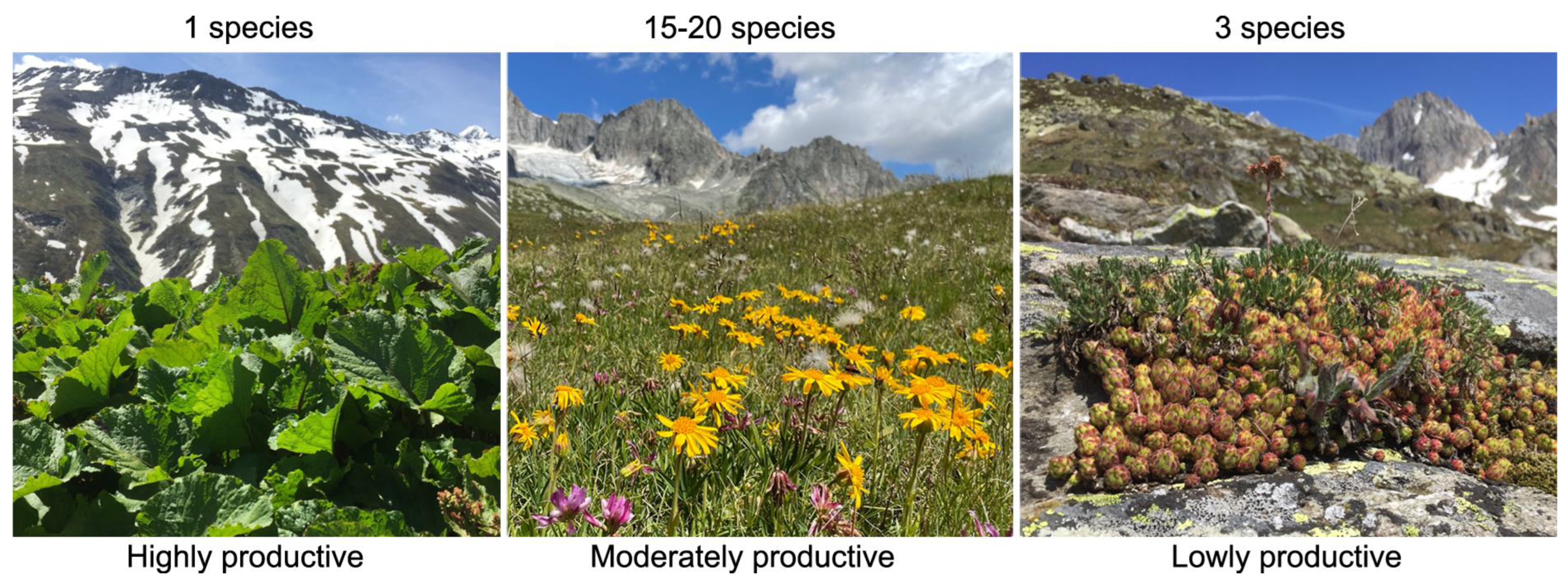 Plants 12 02666 g006