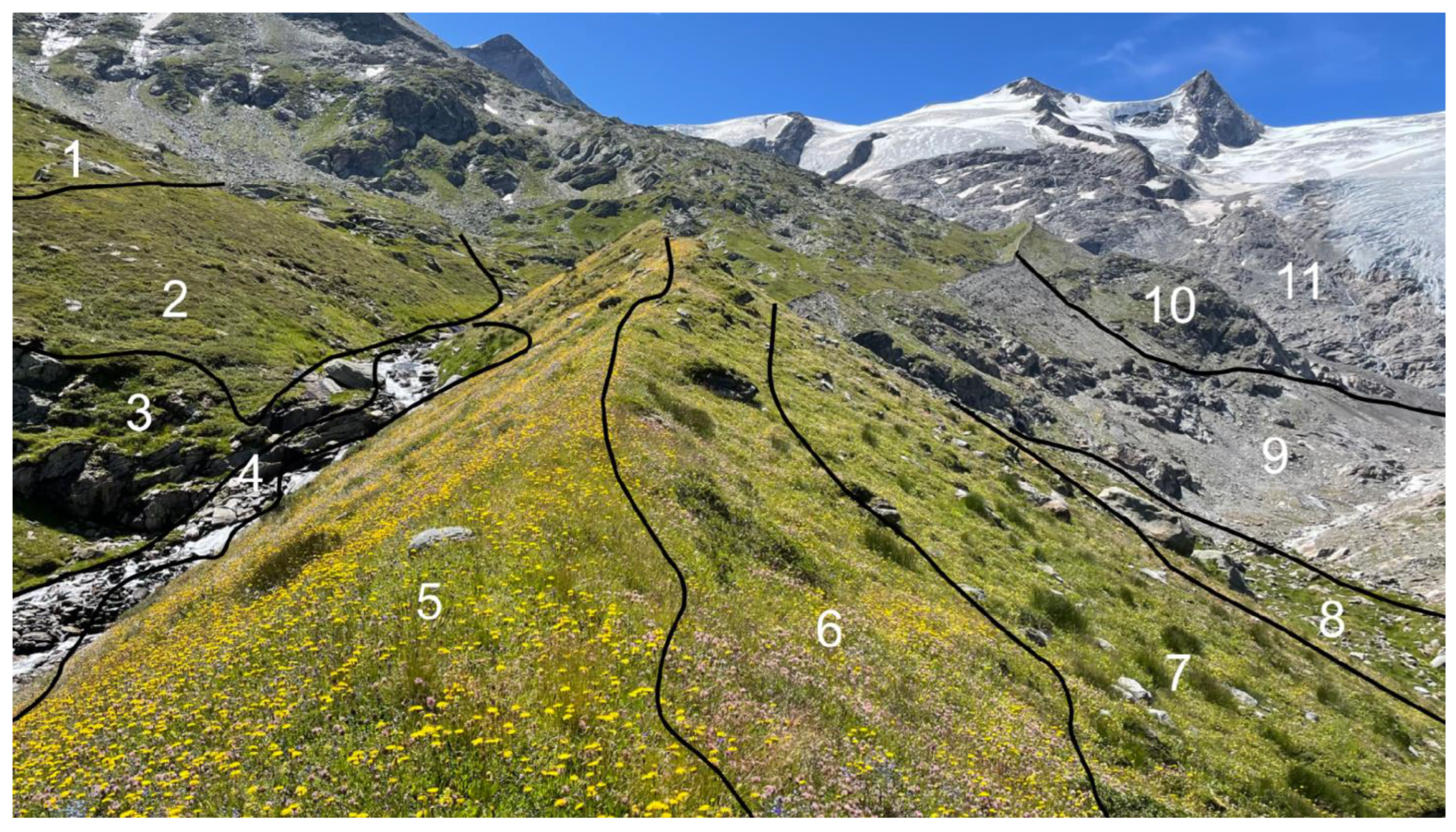 Plants 12 02666 g008