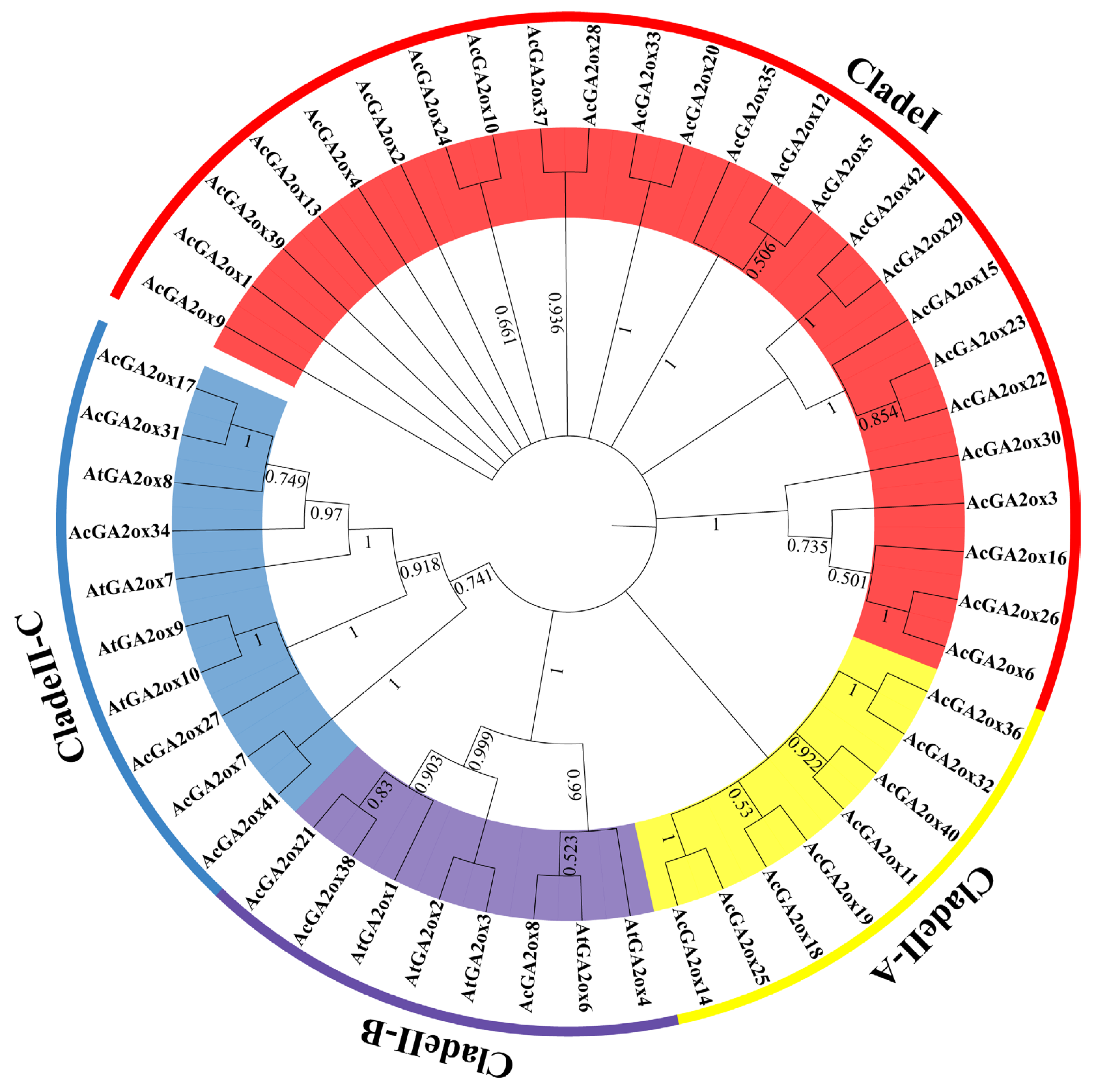 Plants 12 02673 g002 Plants 12 02673 g002