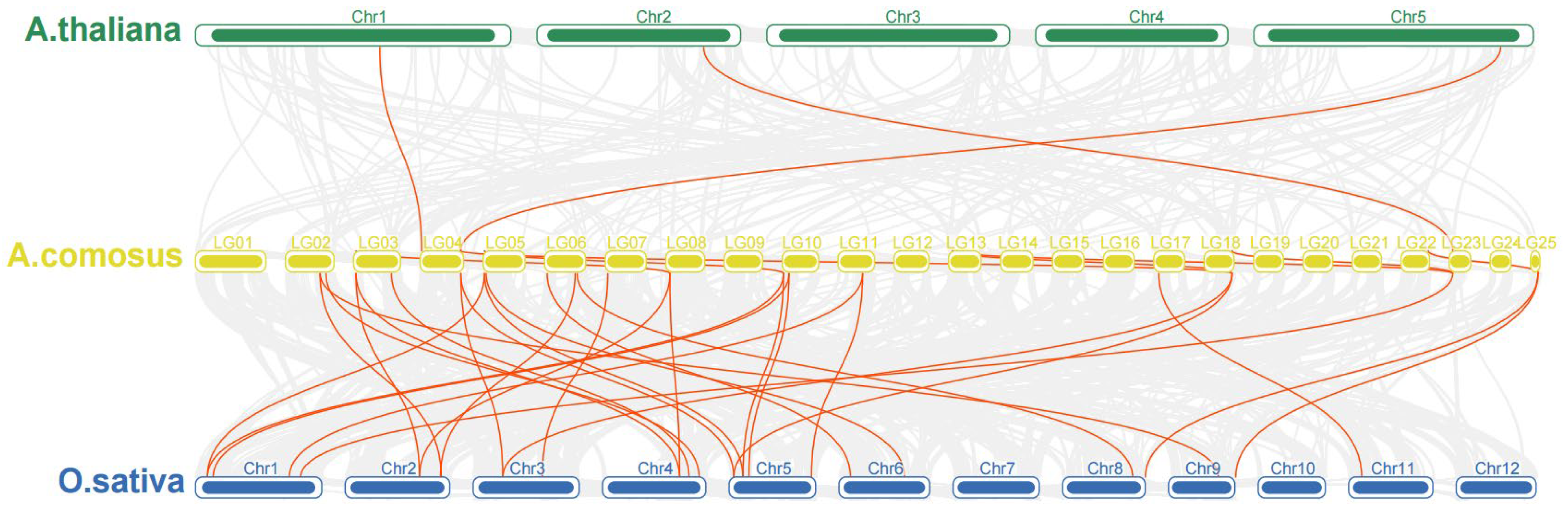 Plants 12 02673 g003 Plants 12 02673 g003