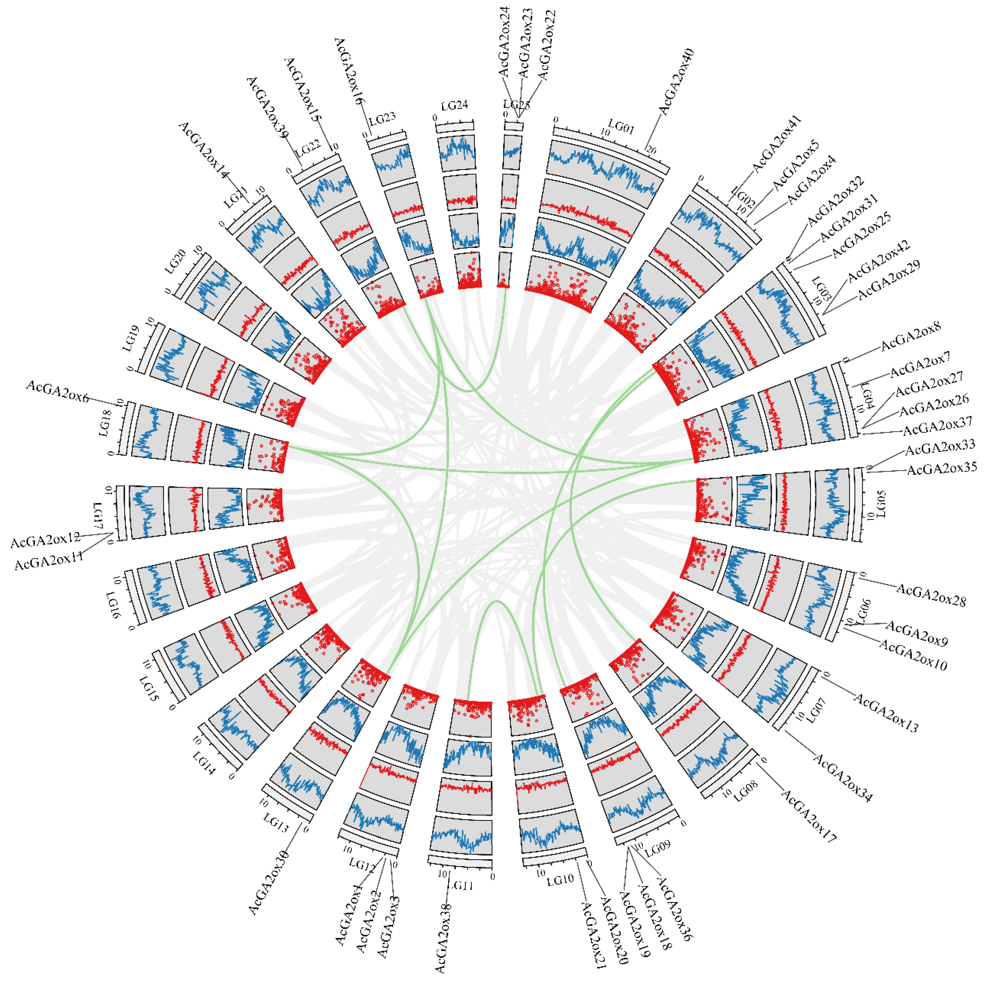 Plants 12 02673 g004 Plants 12 02673 g004