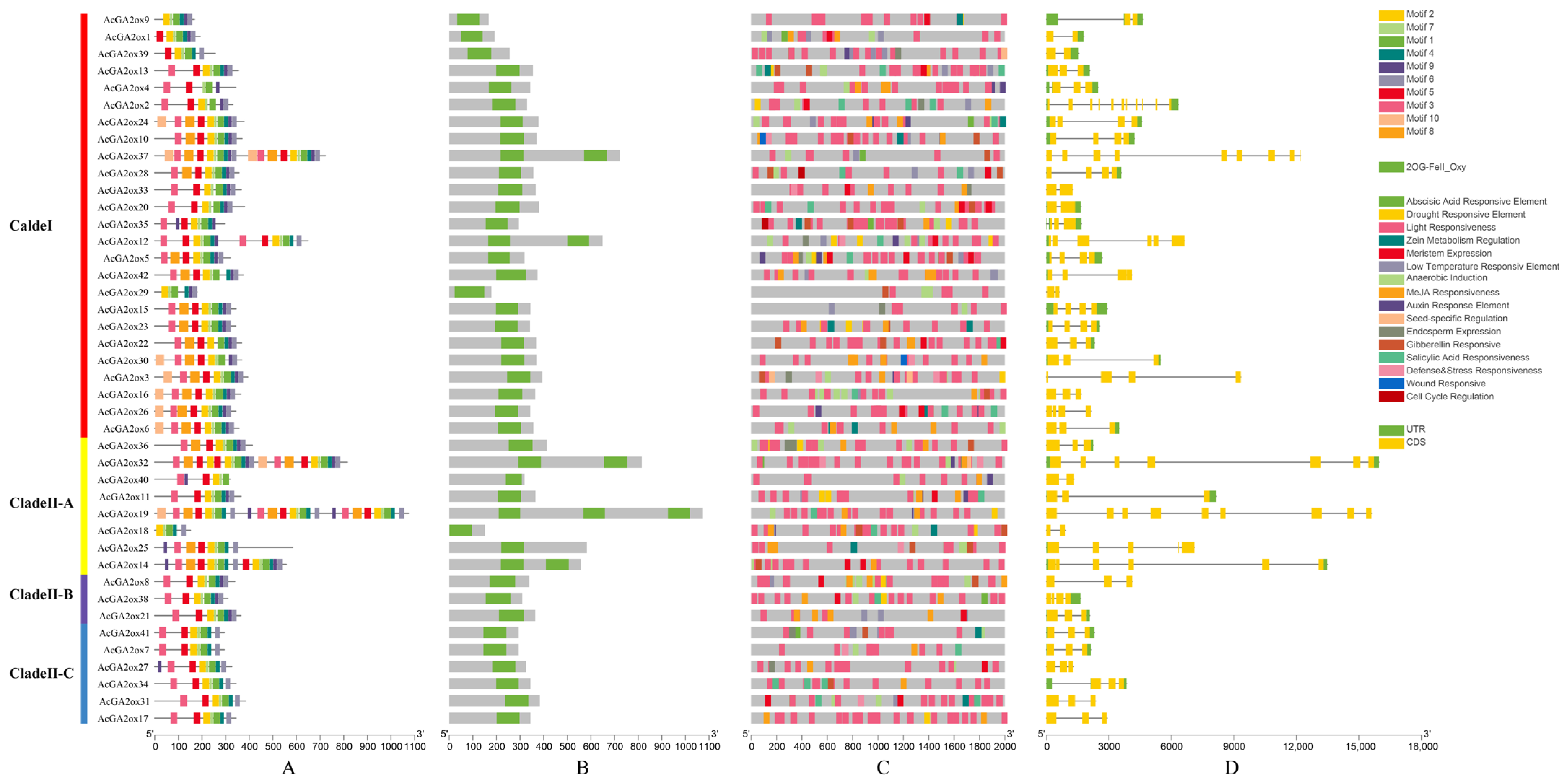 Plants 12 02673 g005 Plants 12 02673 g005
