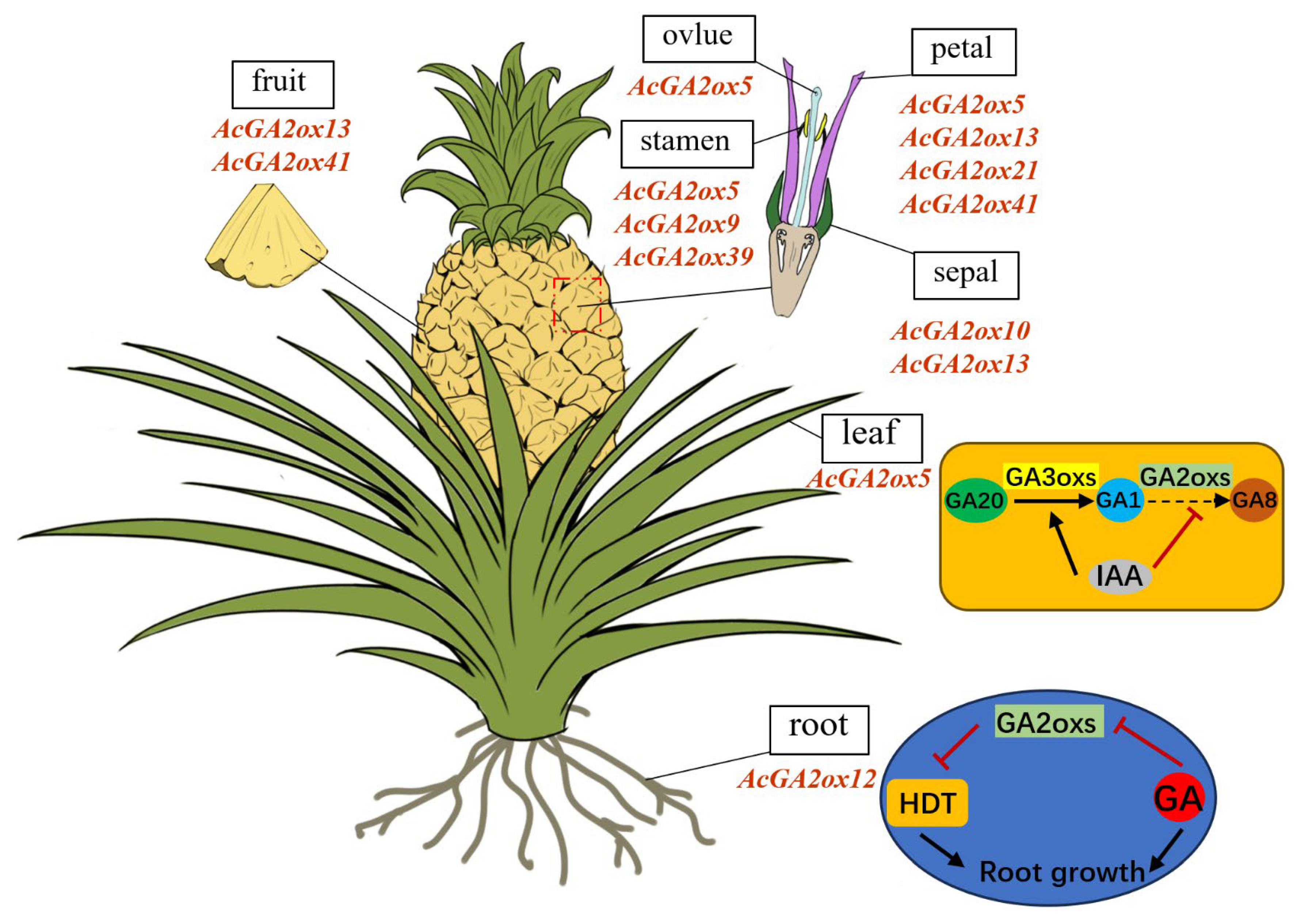 Plants 12 02673 g010 Plants 12 02673 g010