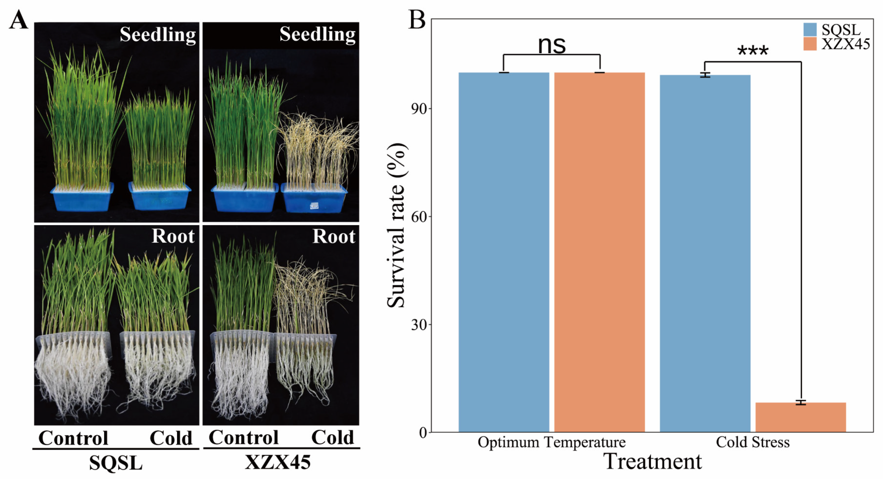 Plants 12 02675 g001 Plants 12 02675 g001