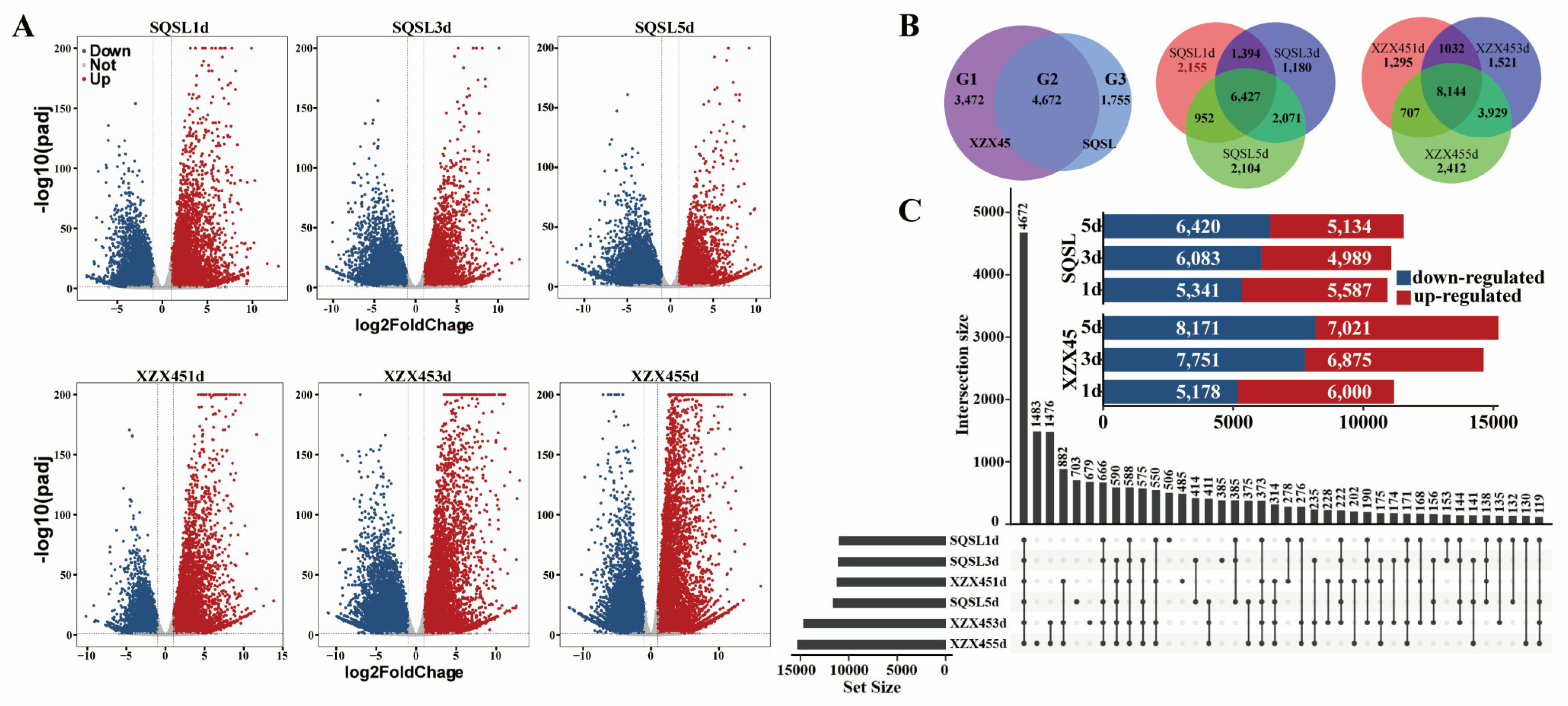 Plants 12 02675 g003 Plants 12 02675 g003