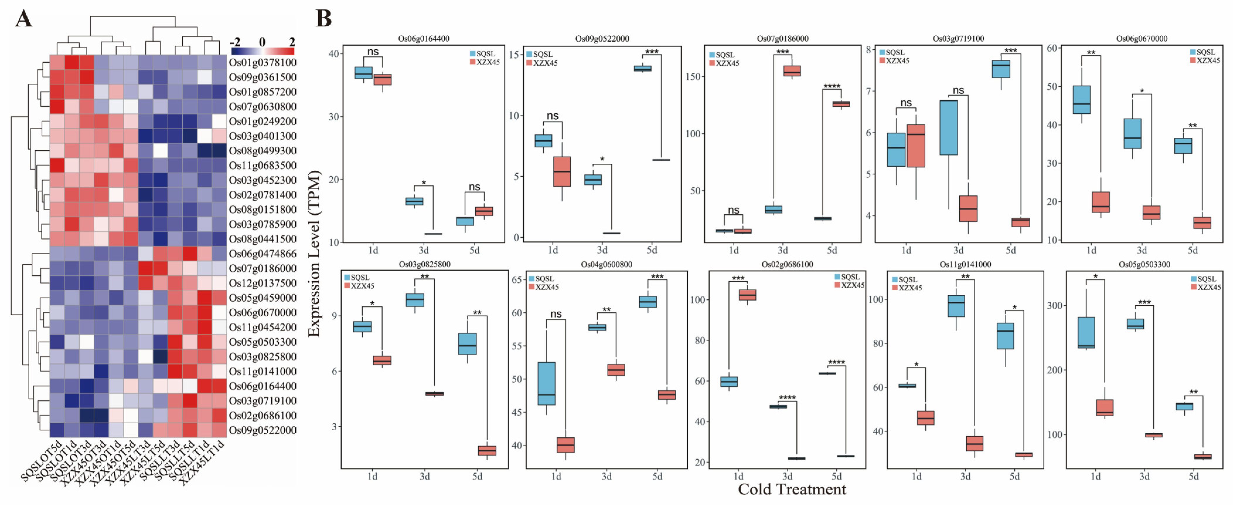 Plants 12 02675 g006 Plants 12 02675 g006