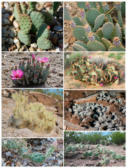 Which Best Describes Biogeographic Isolation? Separation for Evolution