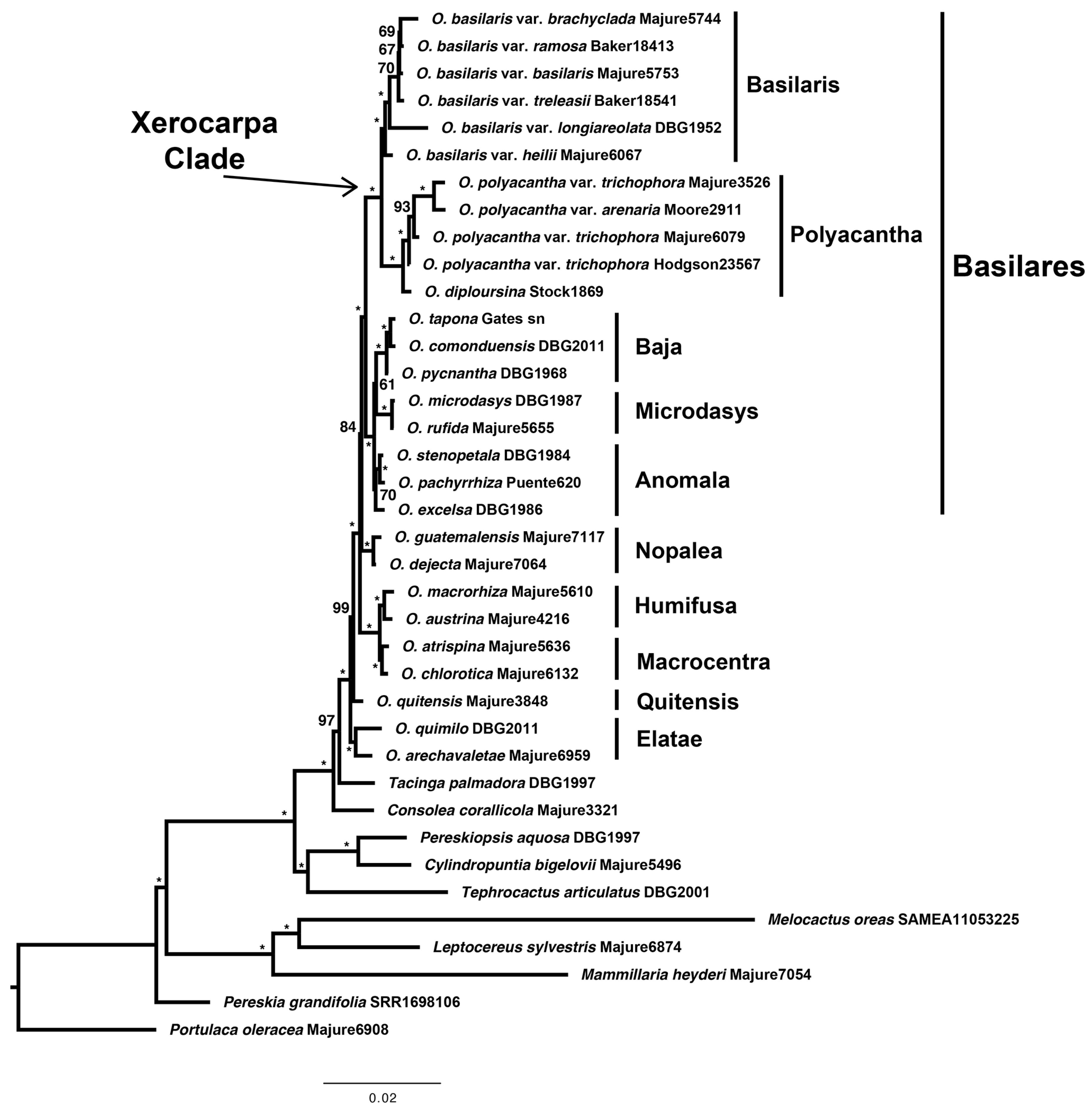 Plants 12 02677 g002 Plants 12 02677 g002