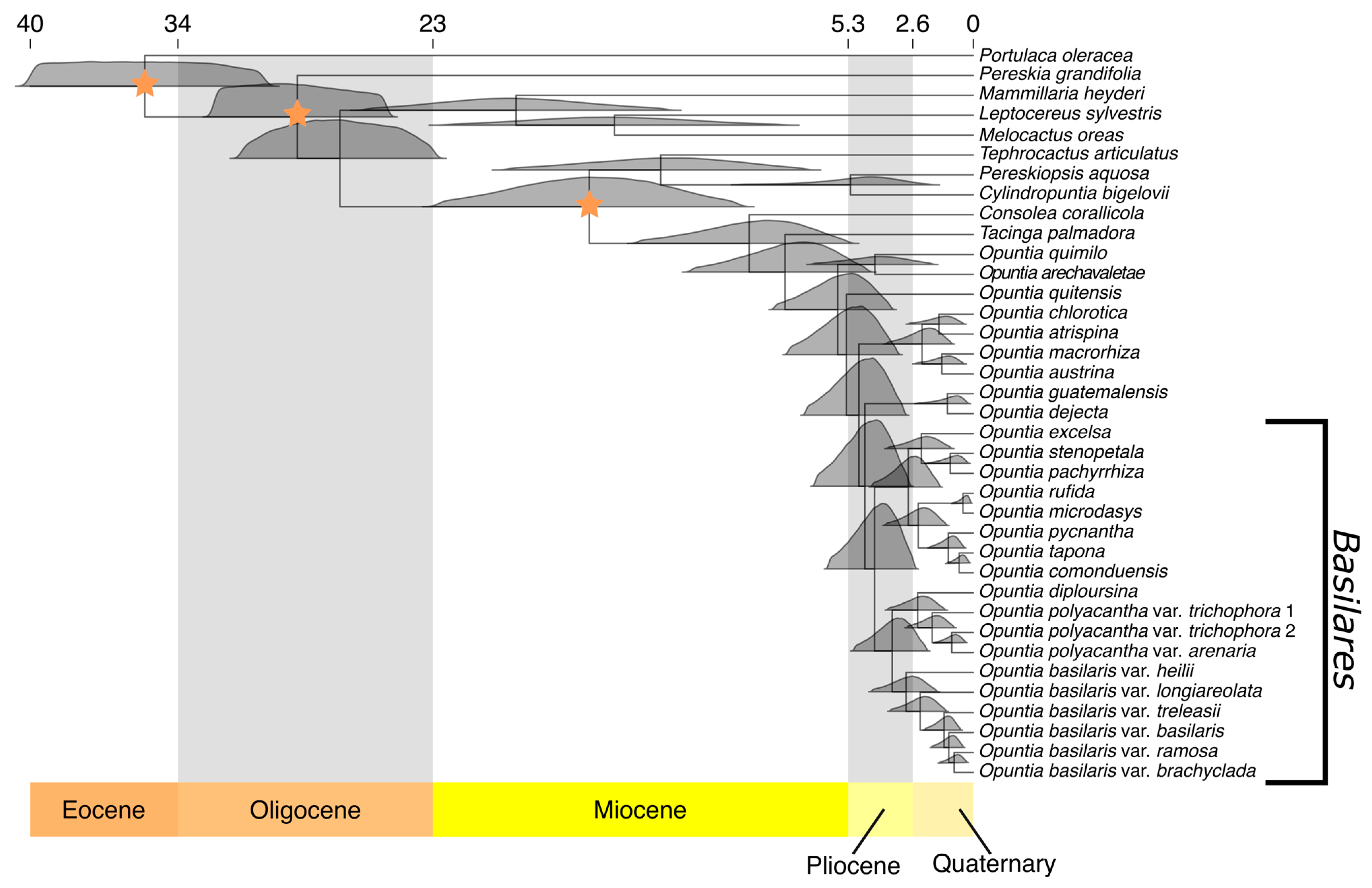 Plants 12 02677 g003 Plants 12 02677 g003
