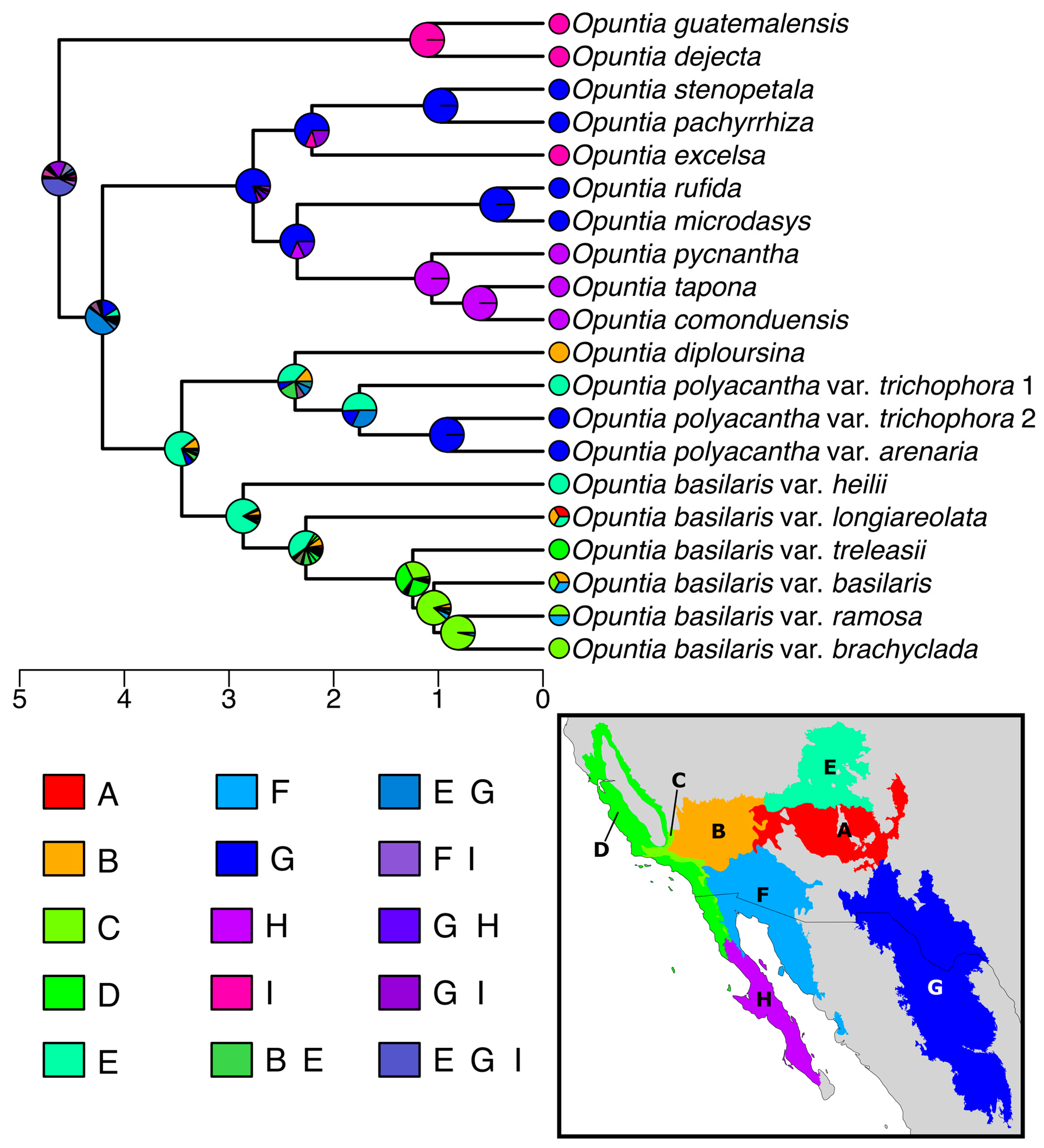 Plants 12 02677 g004 Plants 12 02677 g004