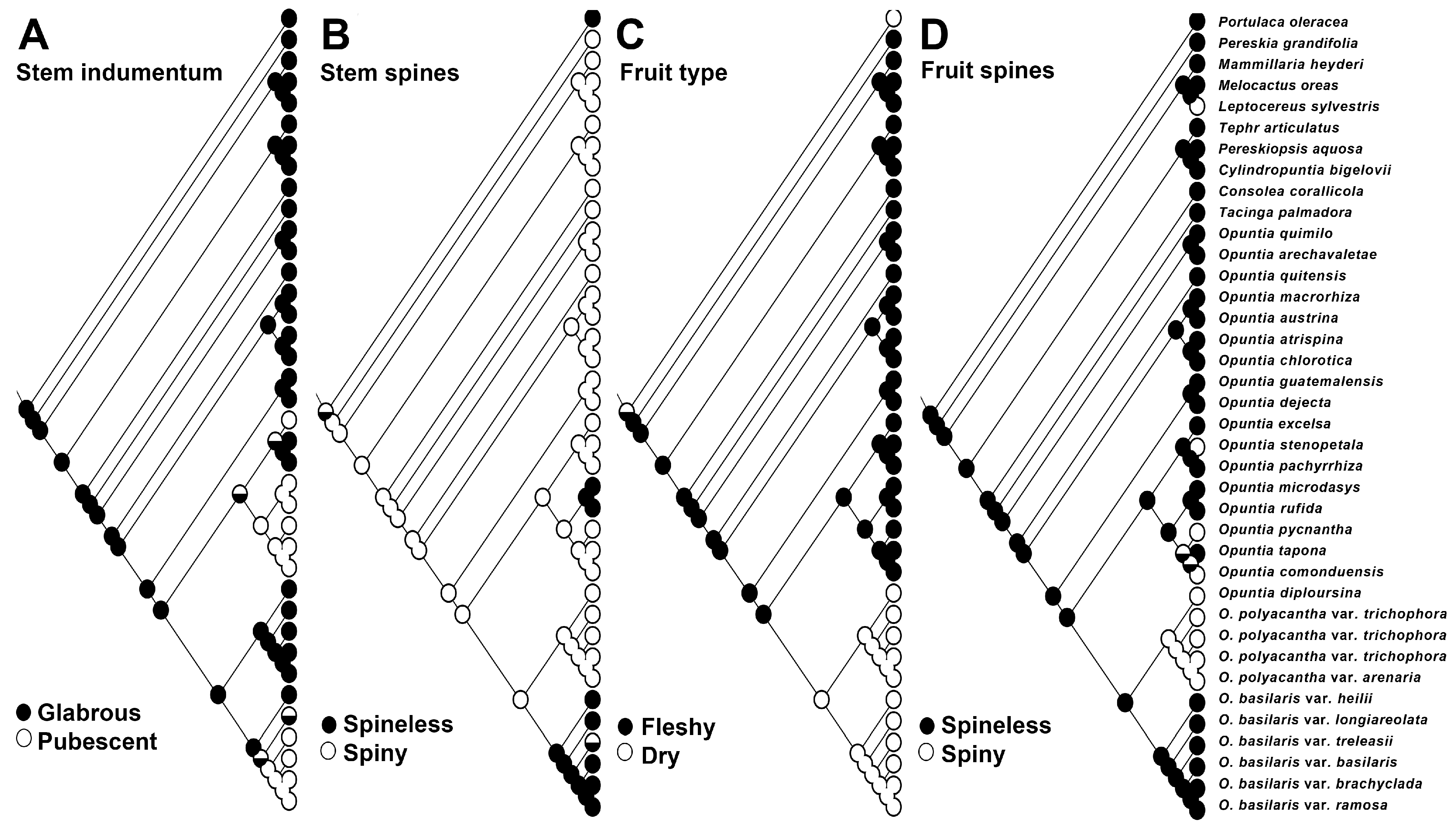 Plants 12 02677 g005 Plants 12 02677 g005