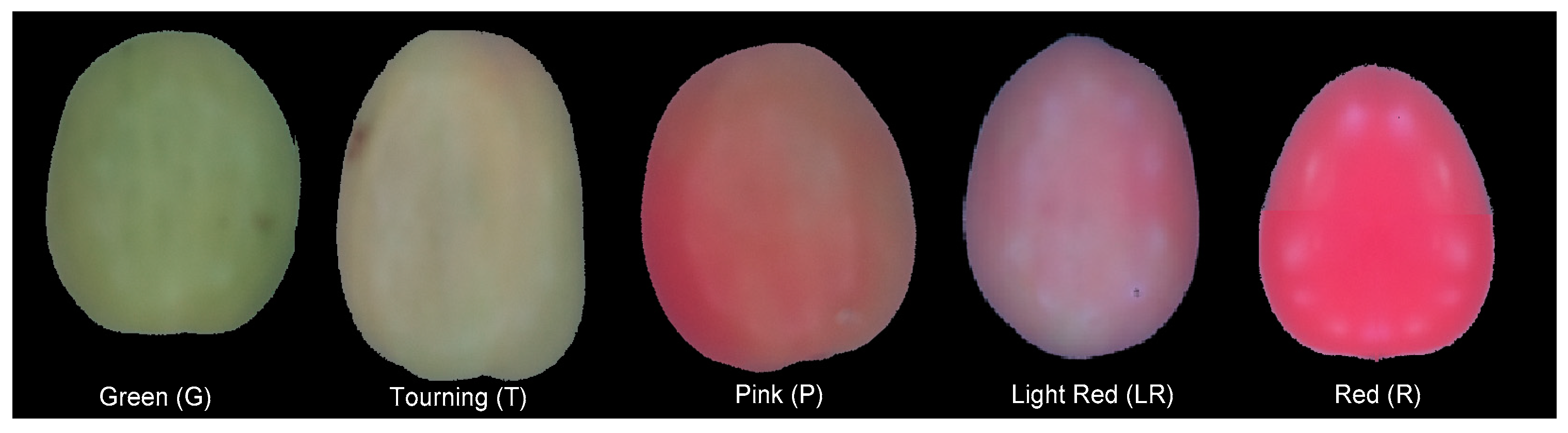 Plants 12 02683 g004 Plants 12 02683 g004