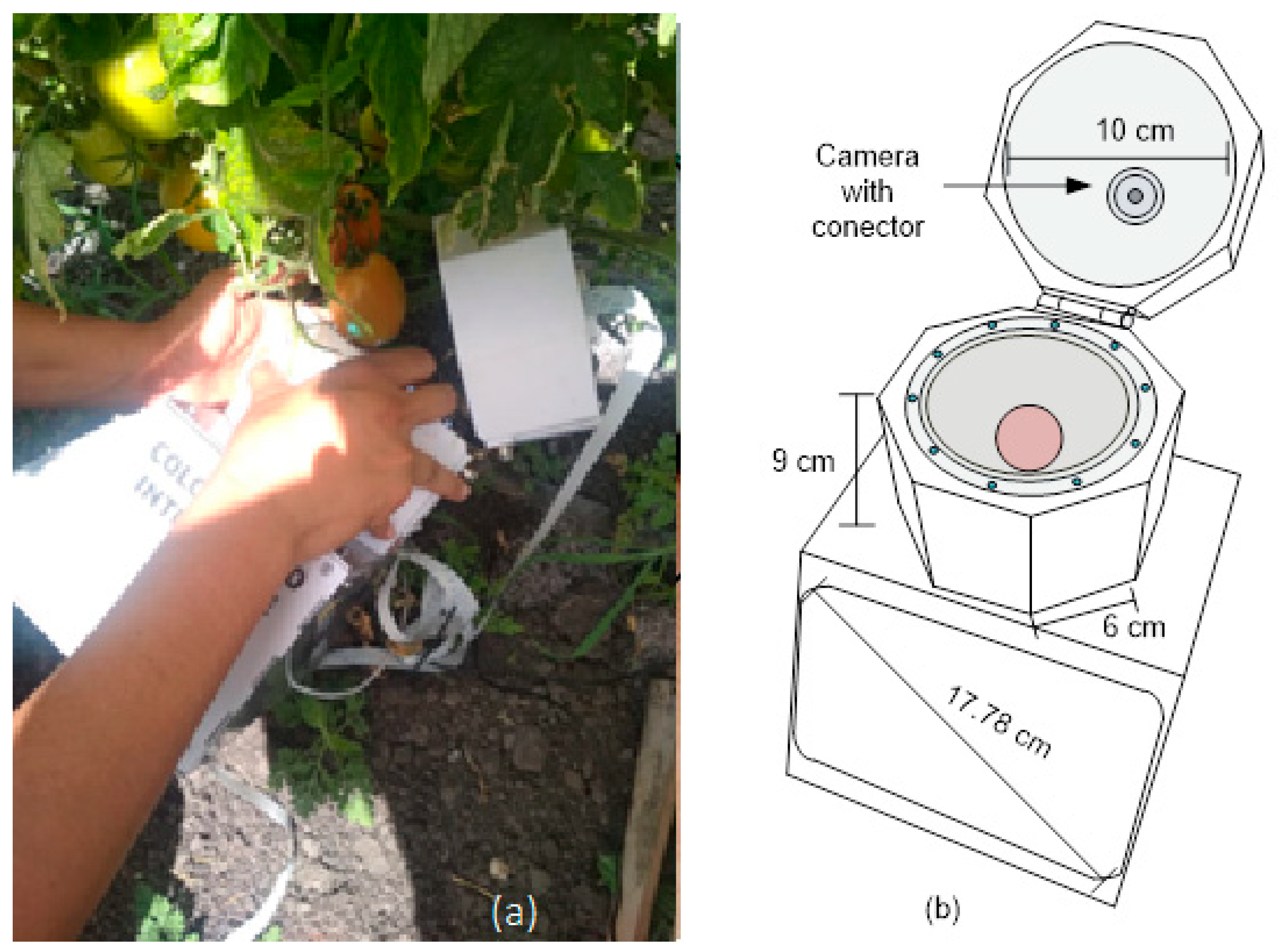 Plants 12 02683 g008 Plants 12 02683 g008