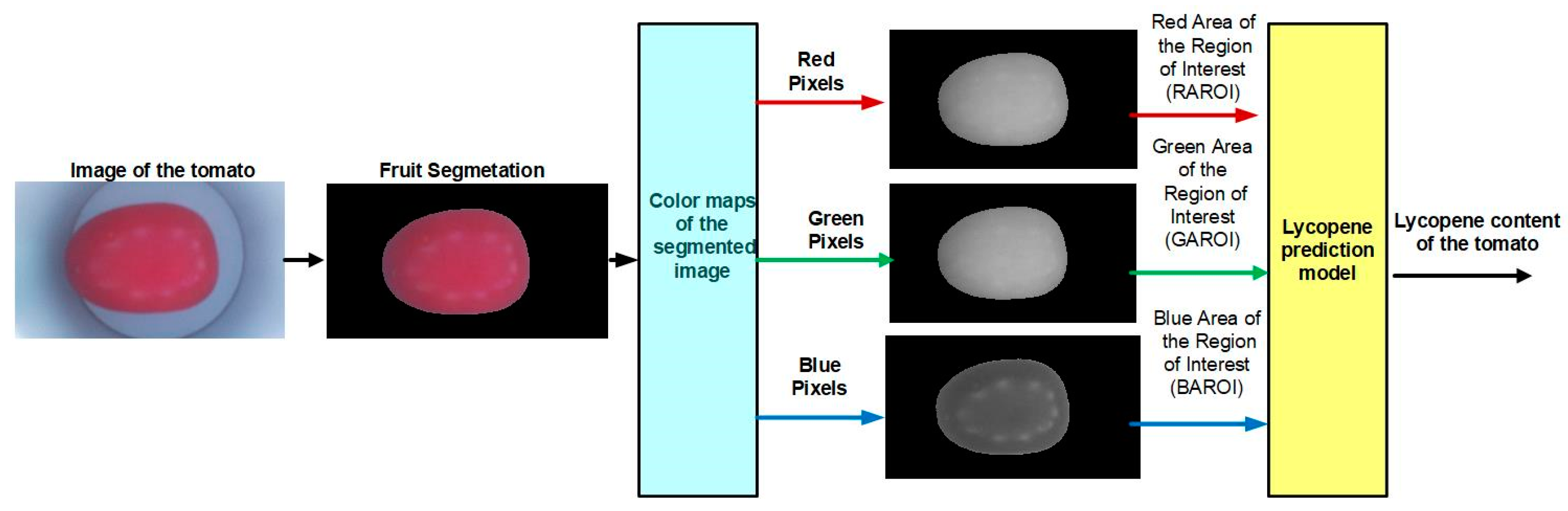 Plants 12 02683 g009 Plants 12 02683 g009