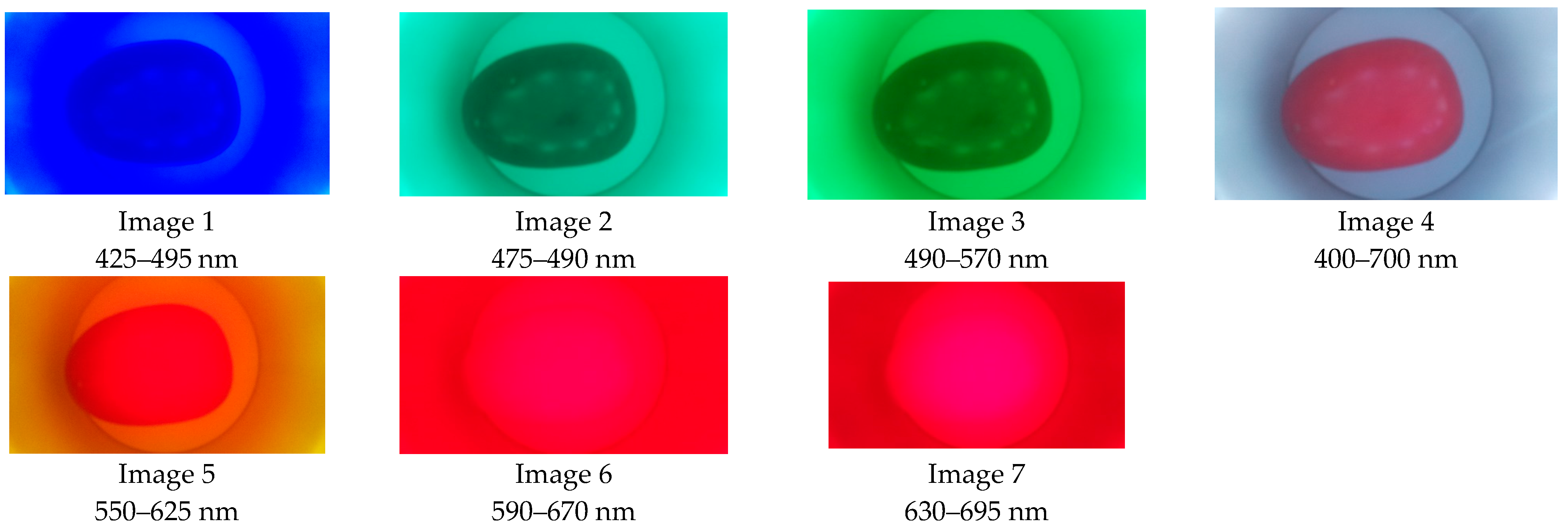 Plants 12 02683 g010 Plants 12 02683 g010