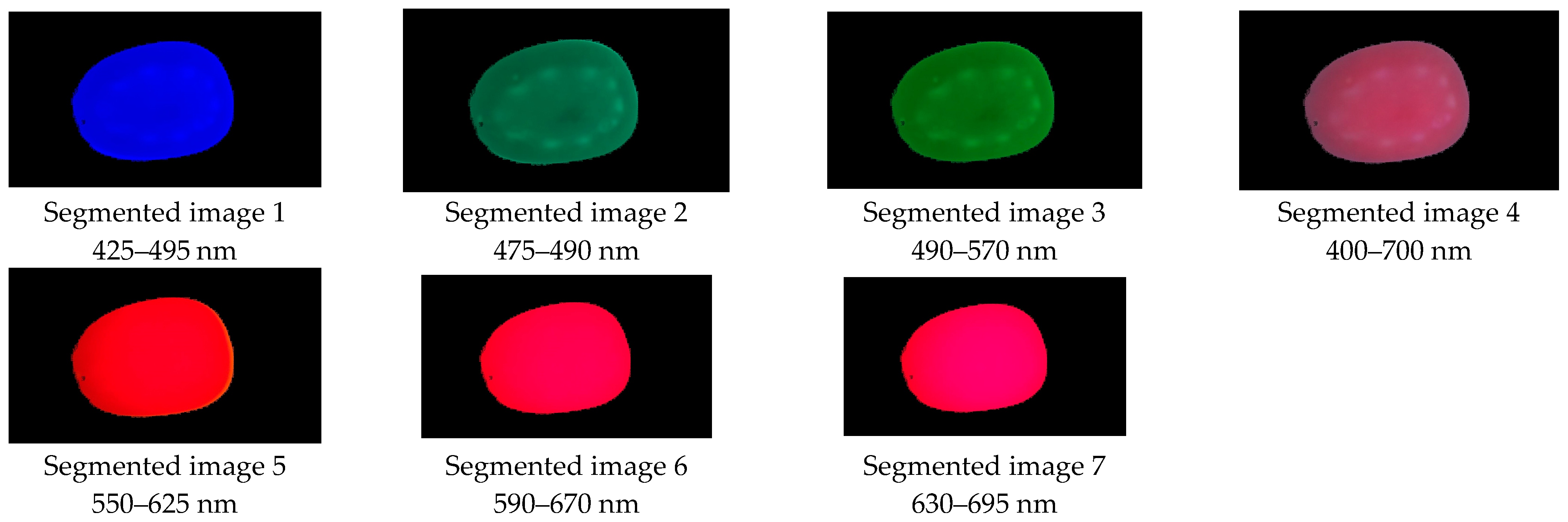 Plants 12 02683 g011 Plants 12 02683 g011