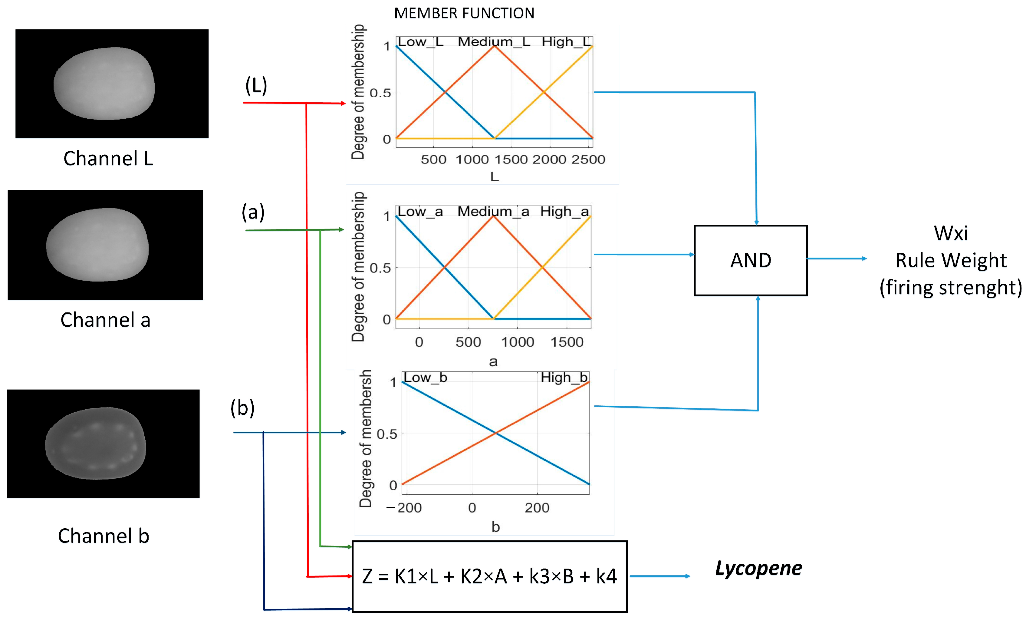 Plants 12 02683 g014 Plants 12 02683 g014
