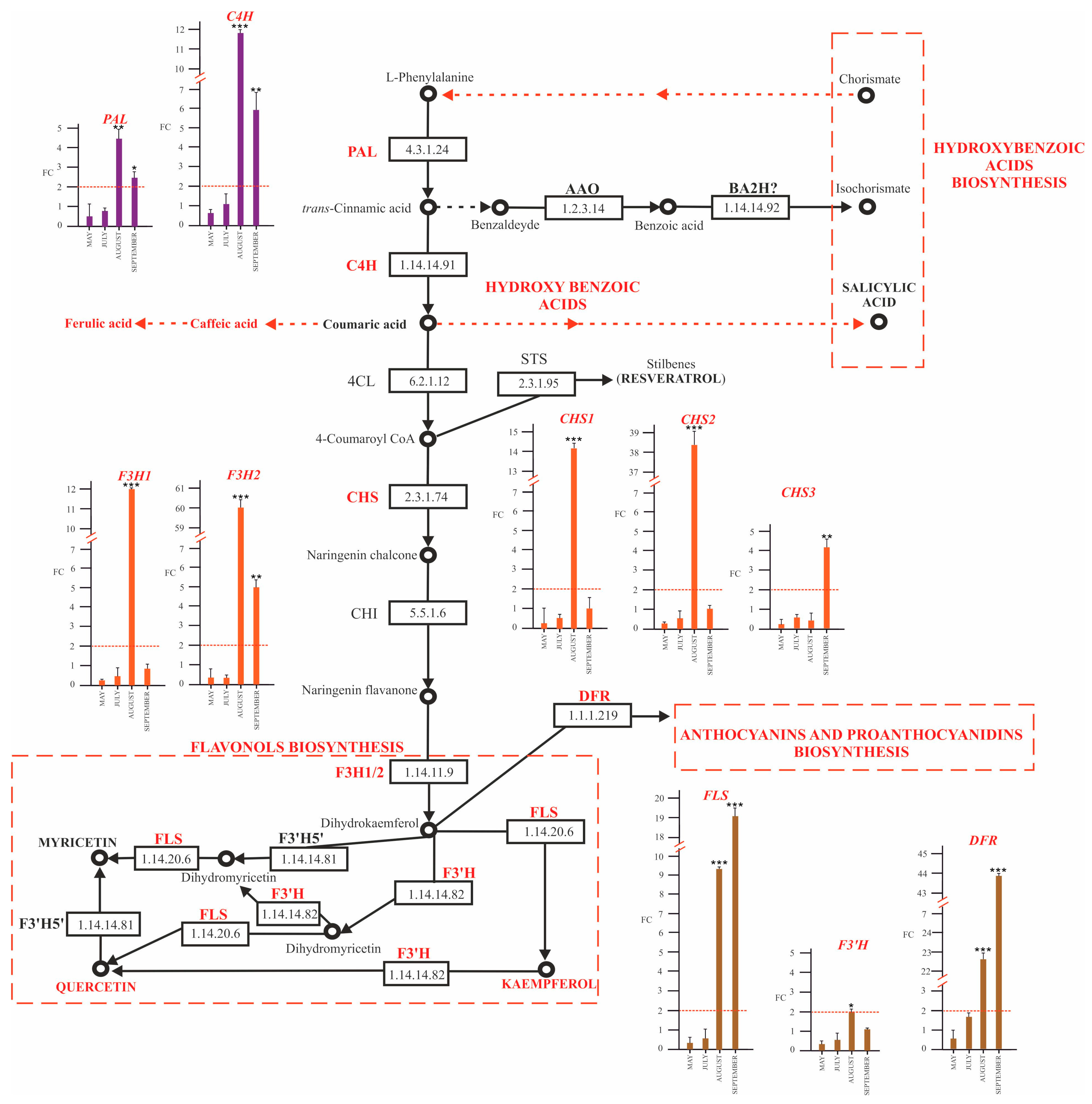 Plants 12 02695 g007