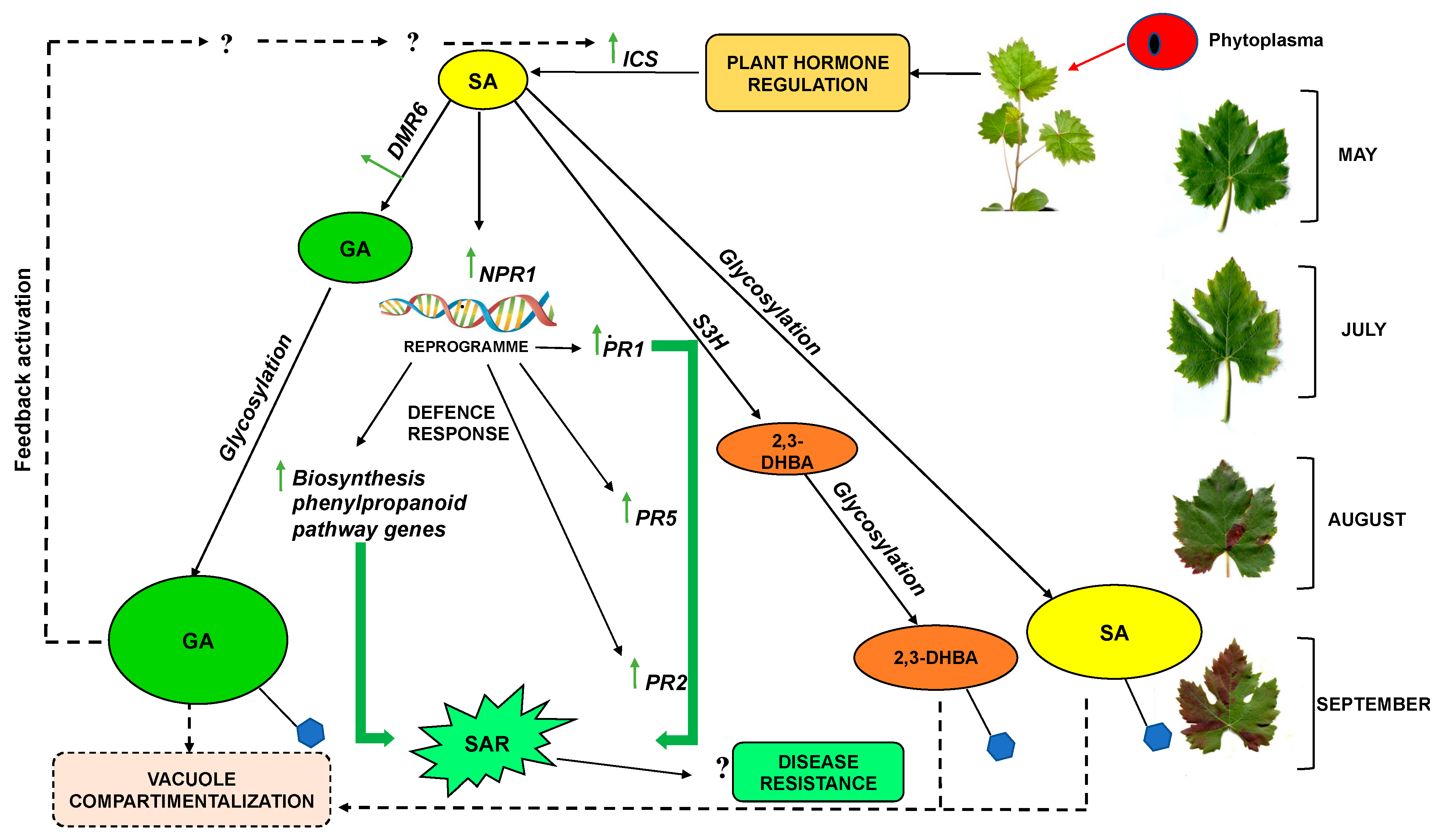 Plants 12 02695 g011