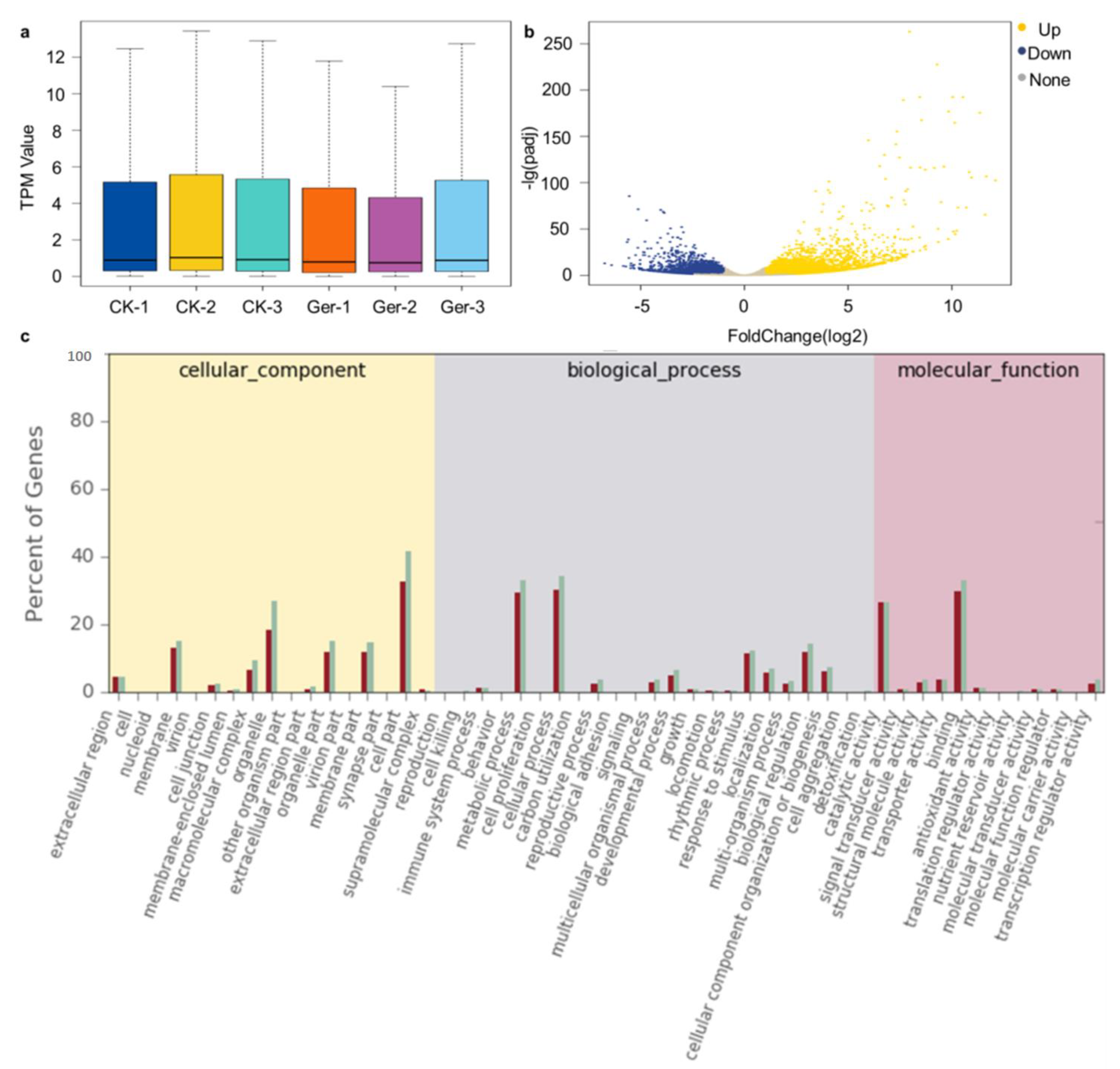 Plants 12 02700 g001