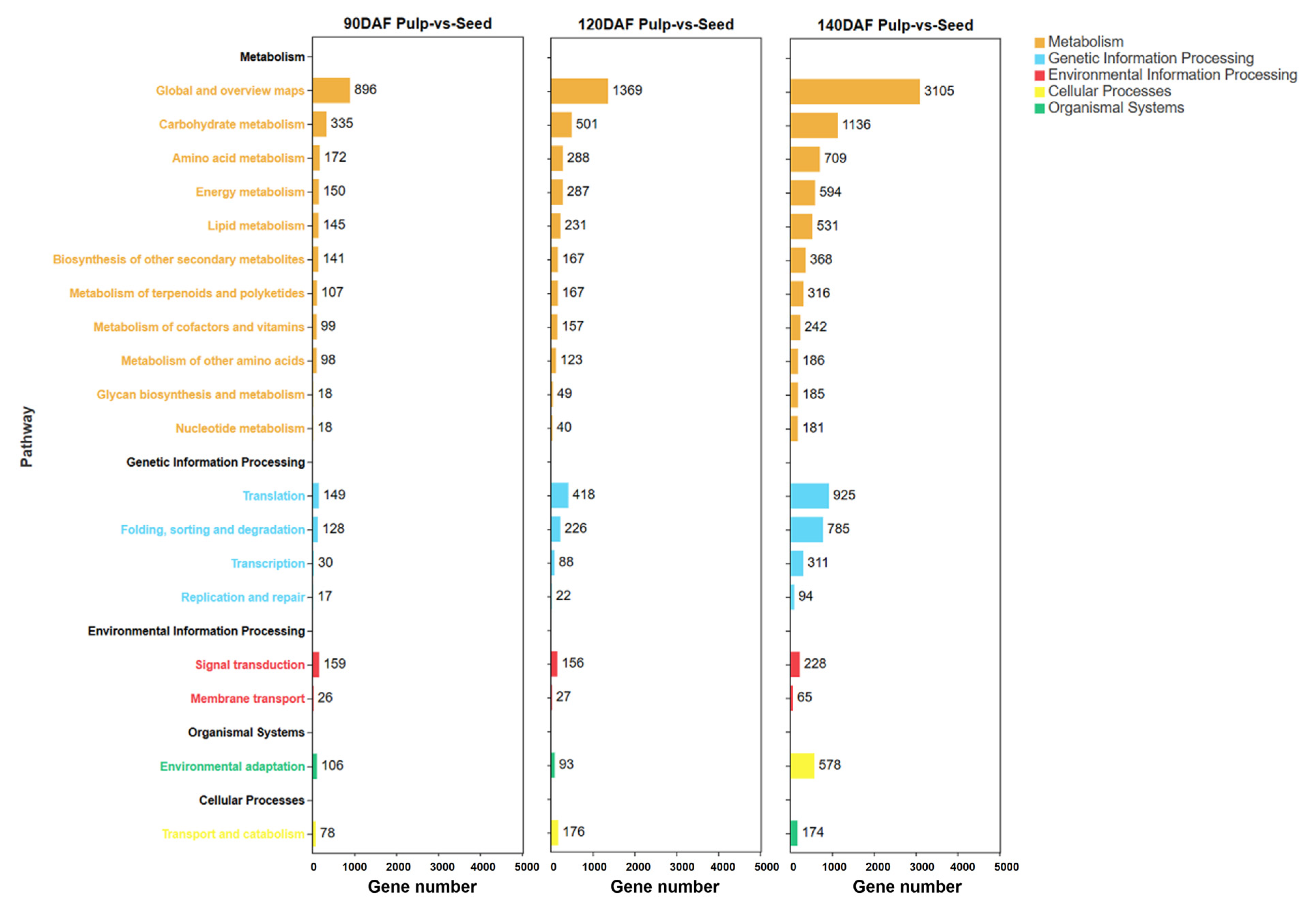 Plants 12 02703 g004 Plants 12 02703 g004
