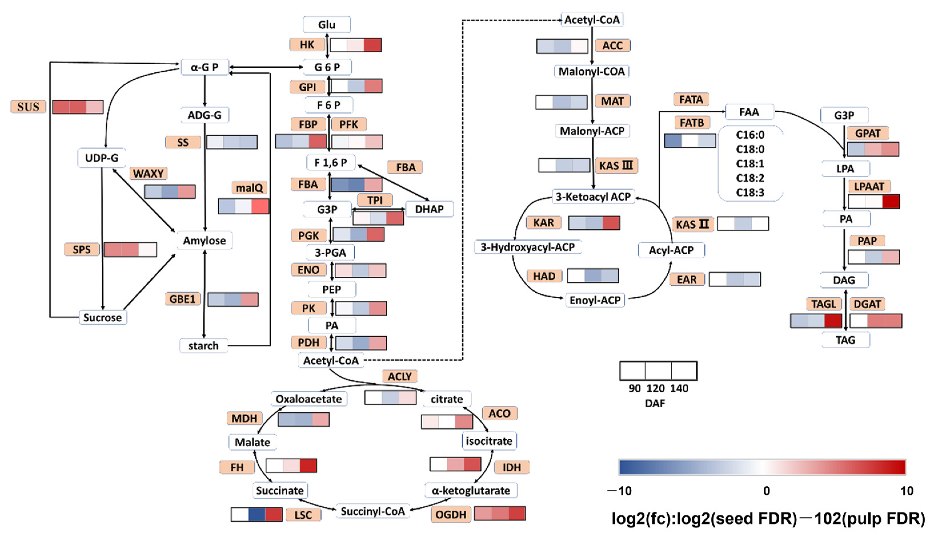 Plants 12 02703 g005 Plants 12 02703 g005