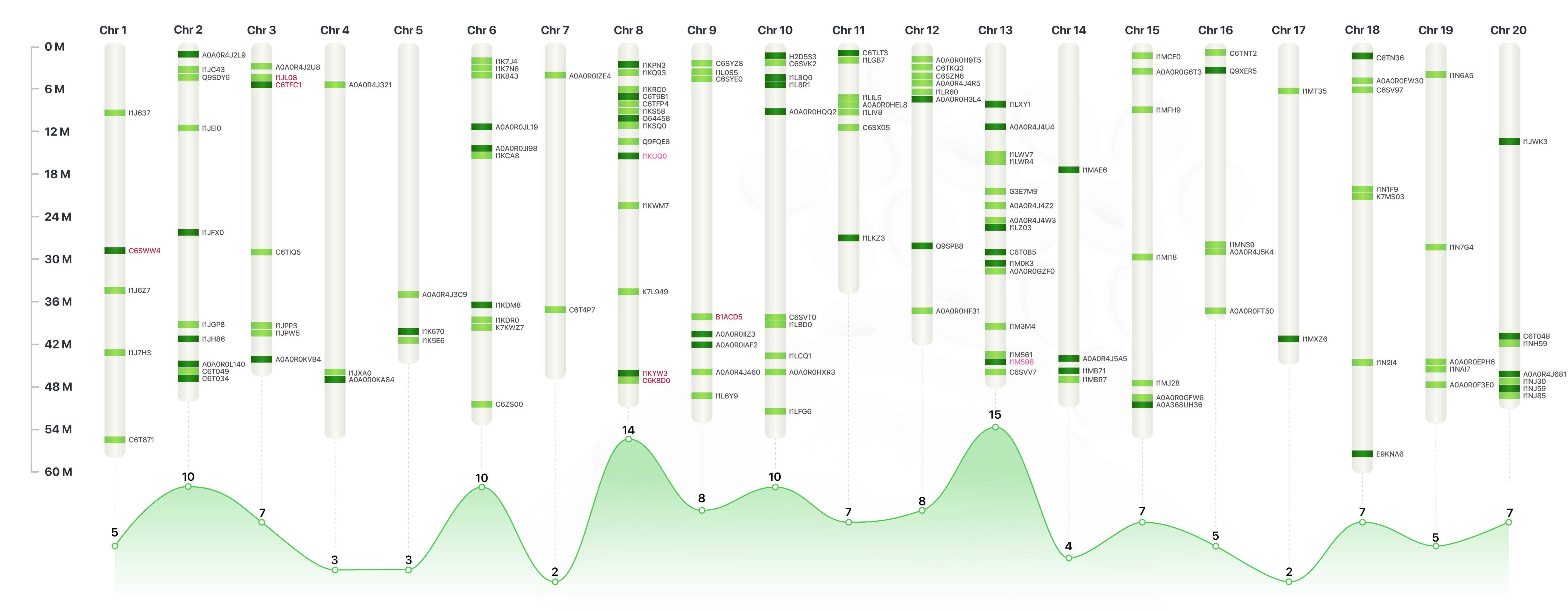 Plants 12 02704 g002 Plants 12 02704 g002