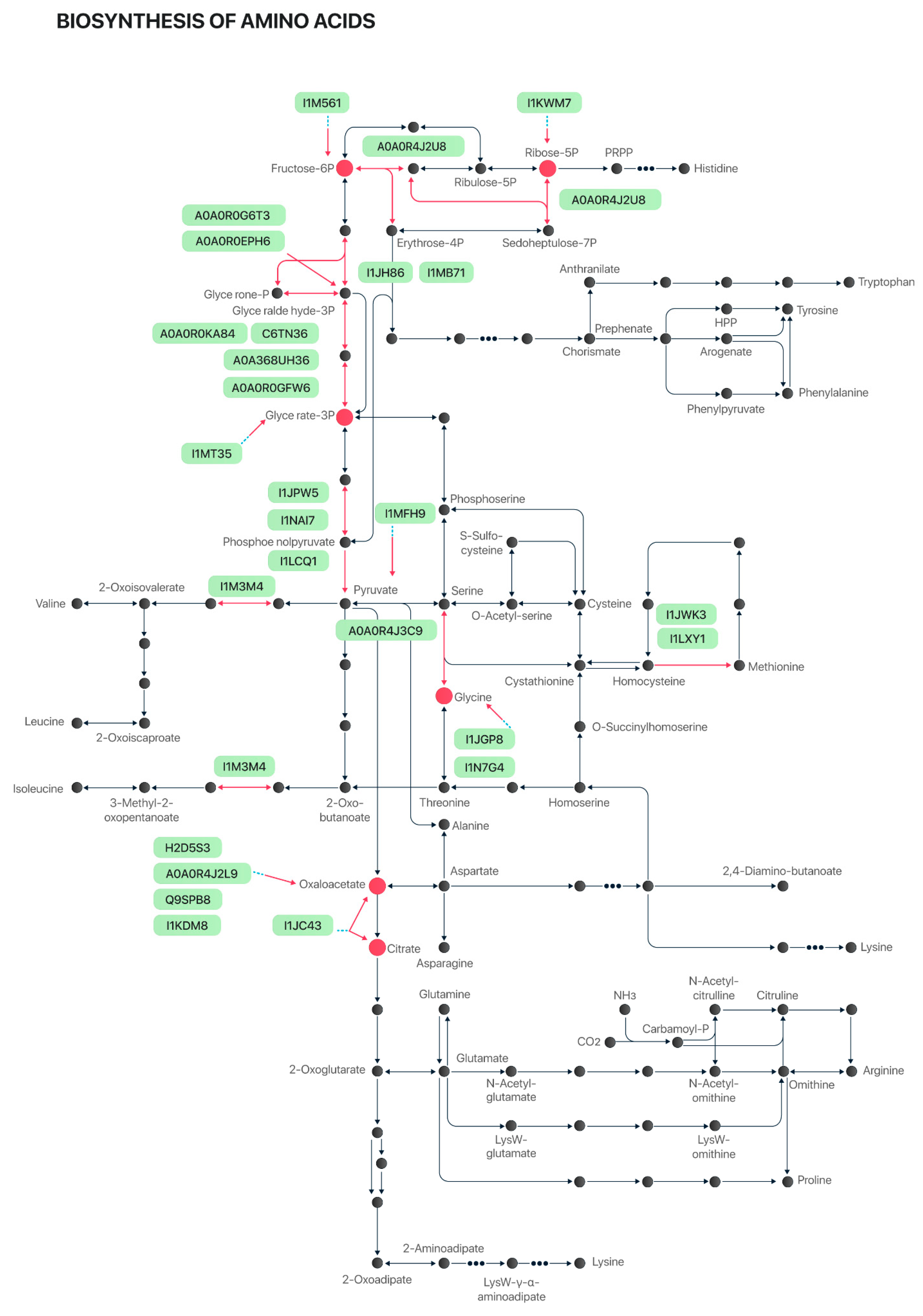 Plants 12 02704 g003 Plants 12 02704 g003