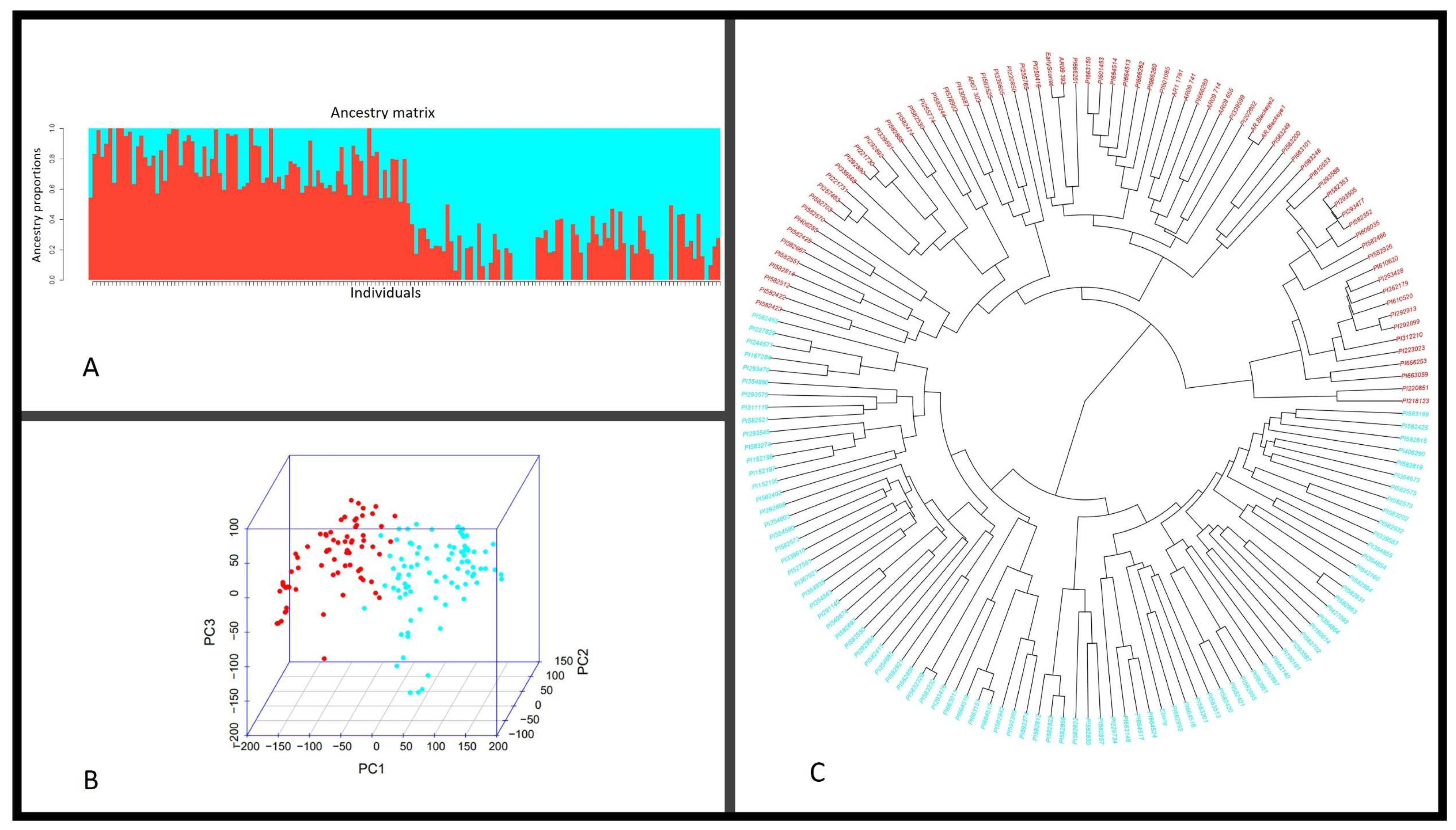 Plants 12 02705 g003 Plants 12 02705 g003