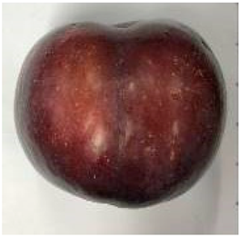 Plants 12 02711 i001