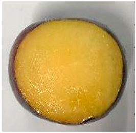 Plants 12 02711 i002