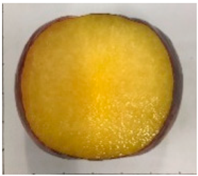 Plants 12 02711 i004