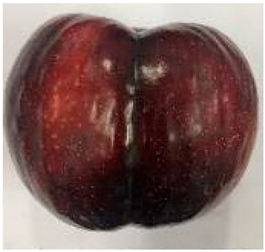 Plants 12 02711 i005