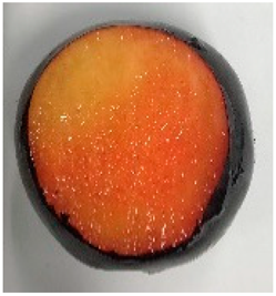 Plants 12 02711 i006