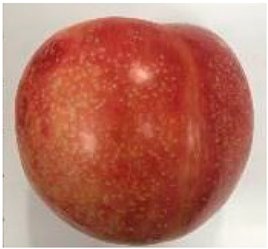 Plants 12 02711 i008